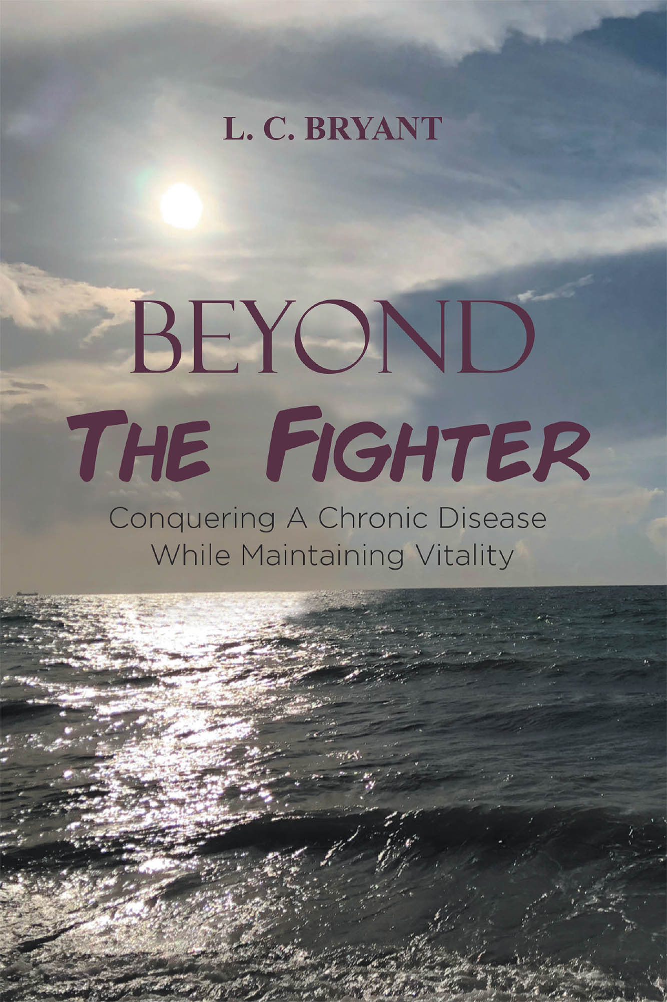 Beyond The Fighter Cover Image