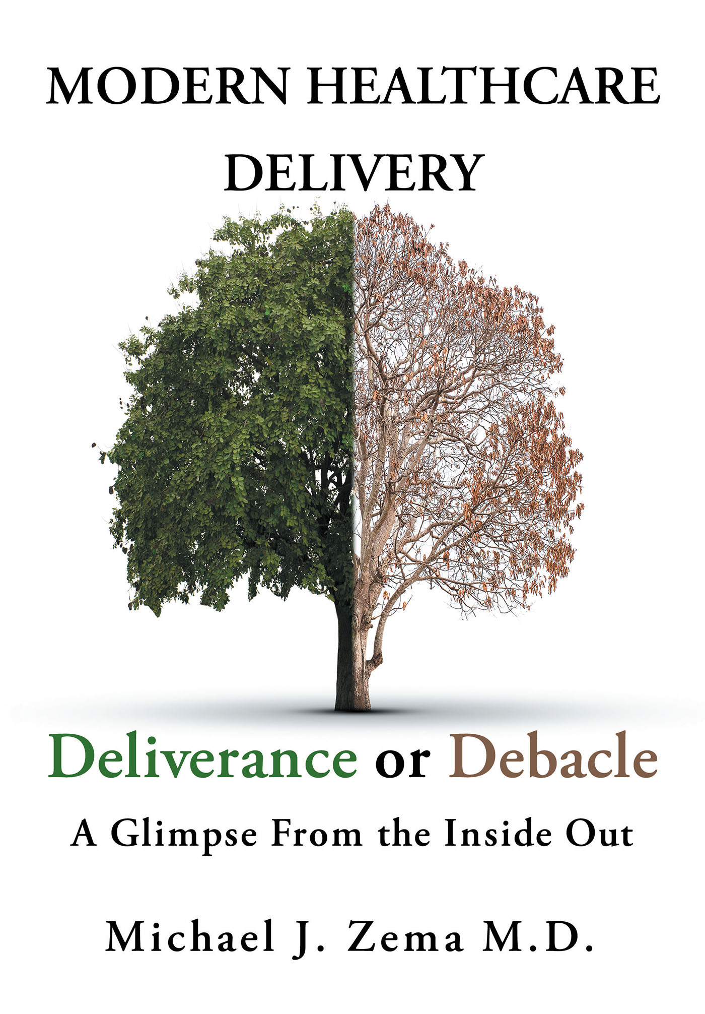 Modern Healthcare Delivery, Deliverance or Debacle Cover Image
