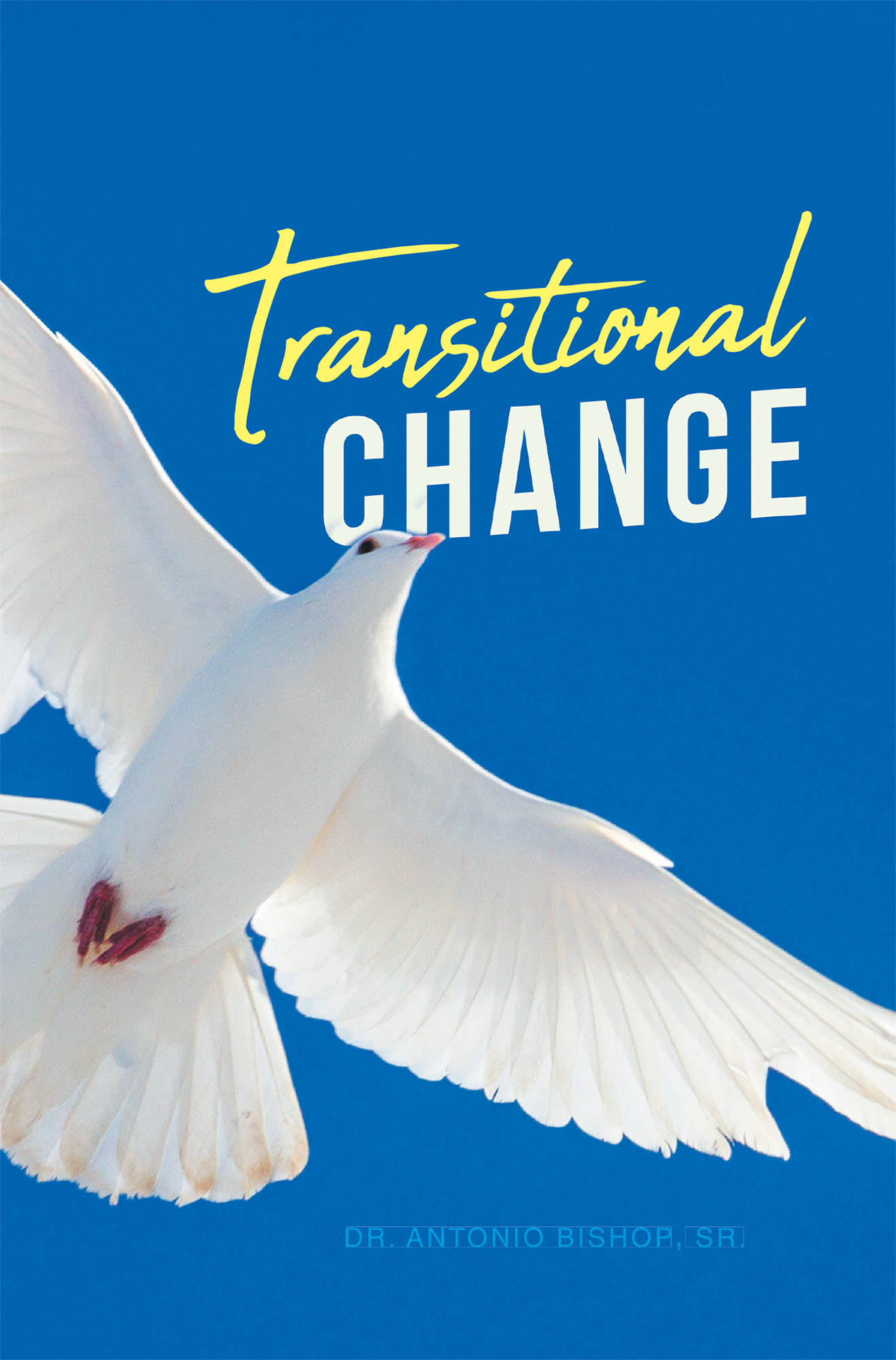 Transitional Change Cover Image
