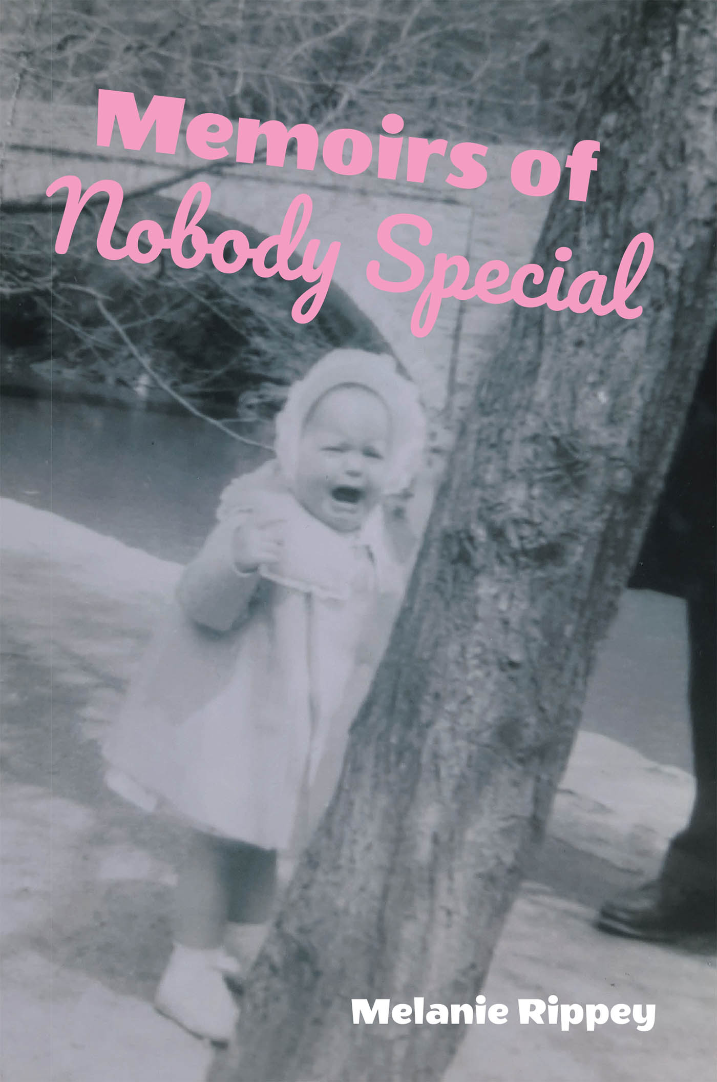 Memoirs of Nobody Special Cover Image