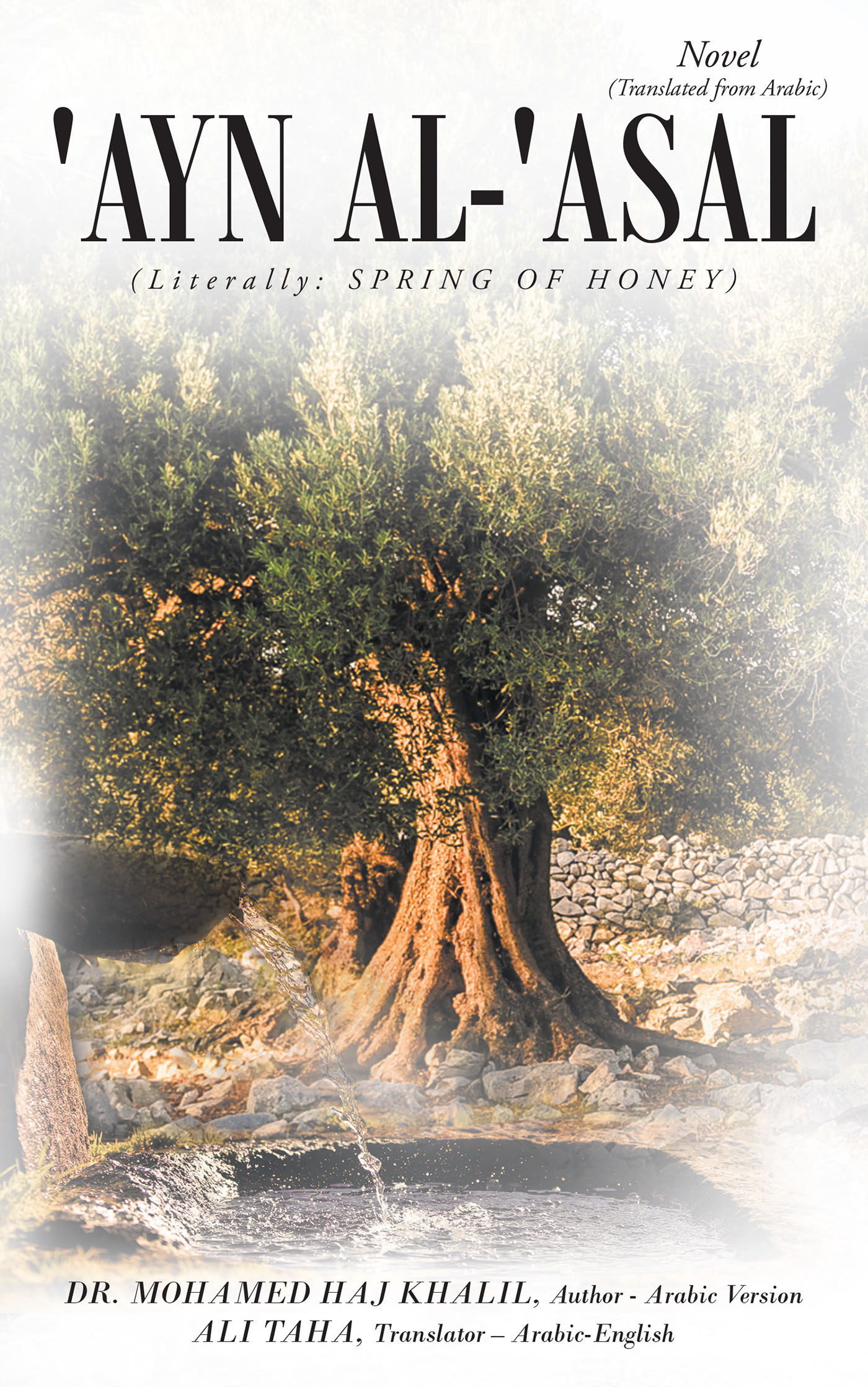 'Ayn al- 'Asal Cover Image