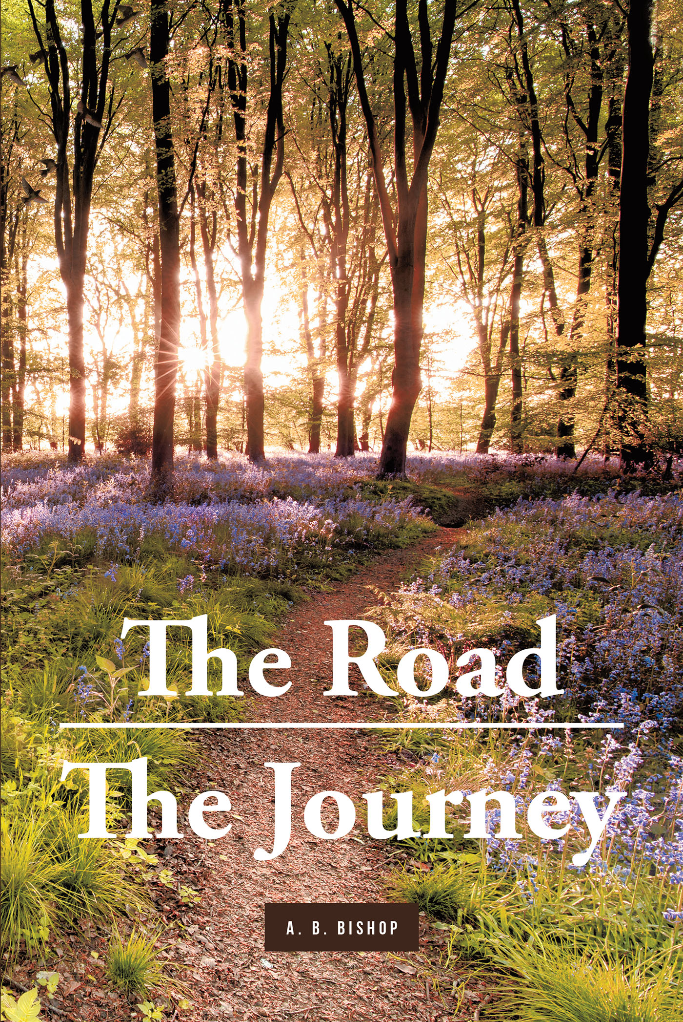 The Road - The Journey Cover Image