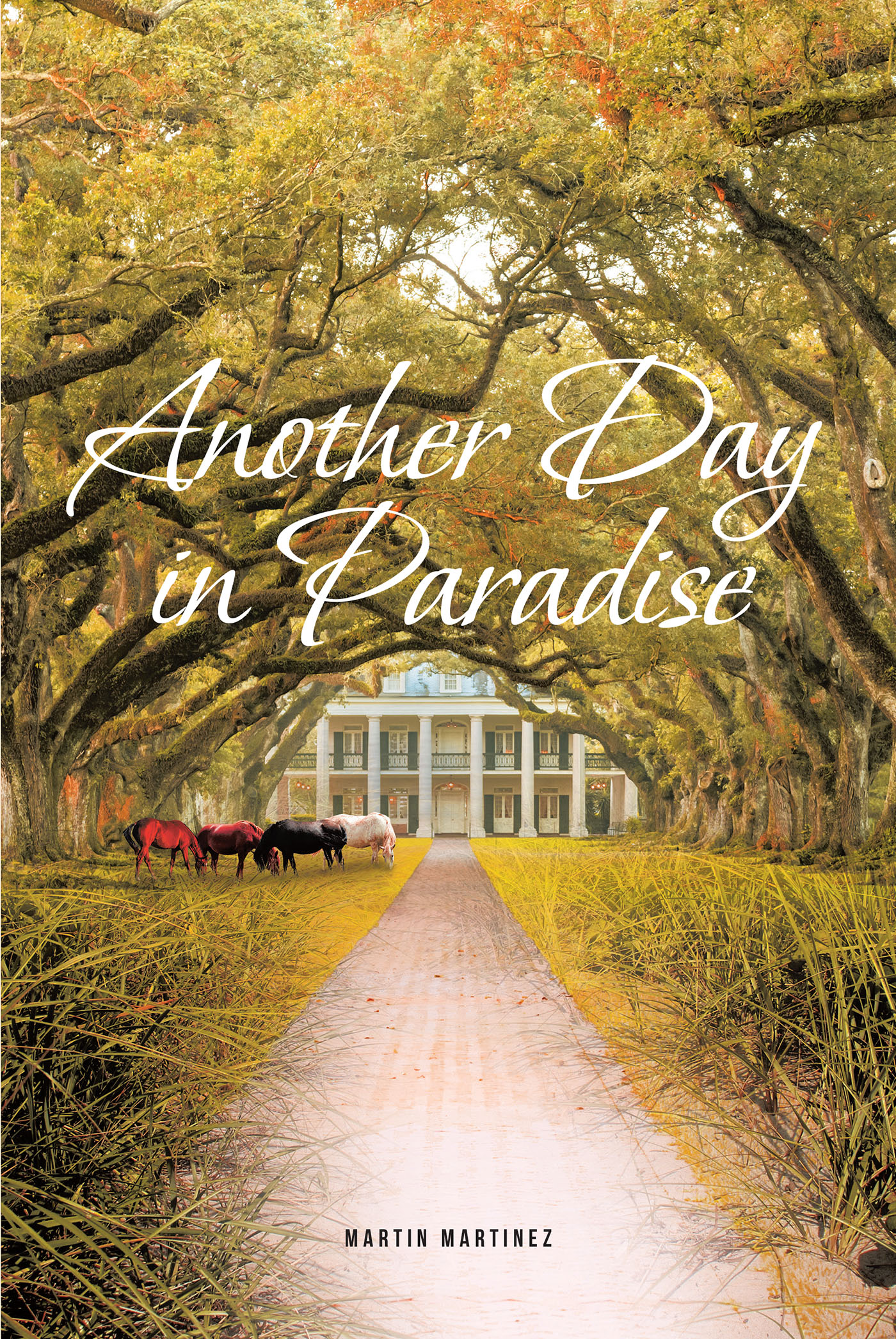 Another Day in Paradise Cover Image