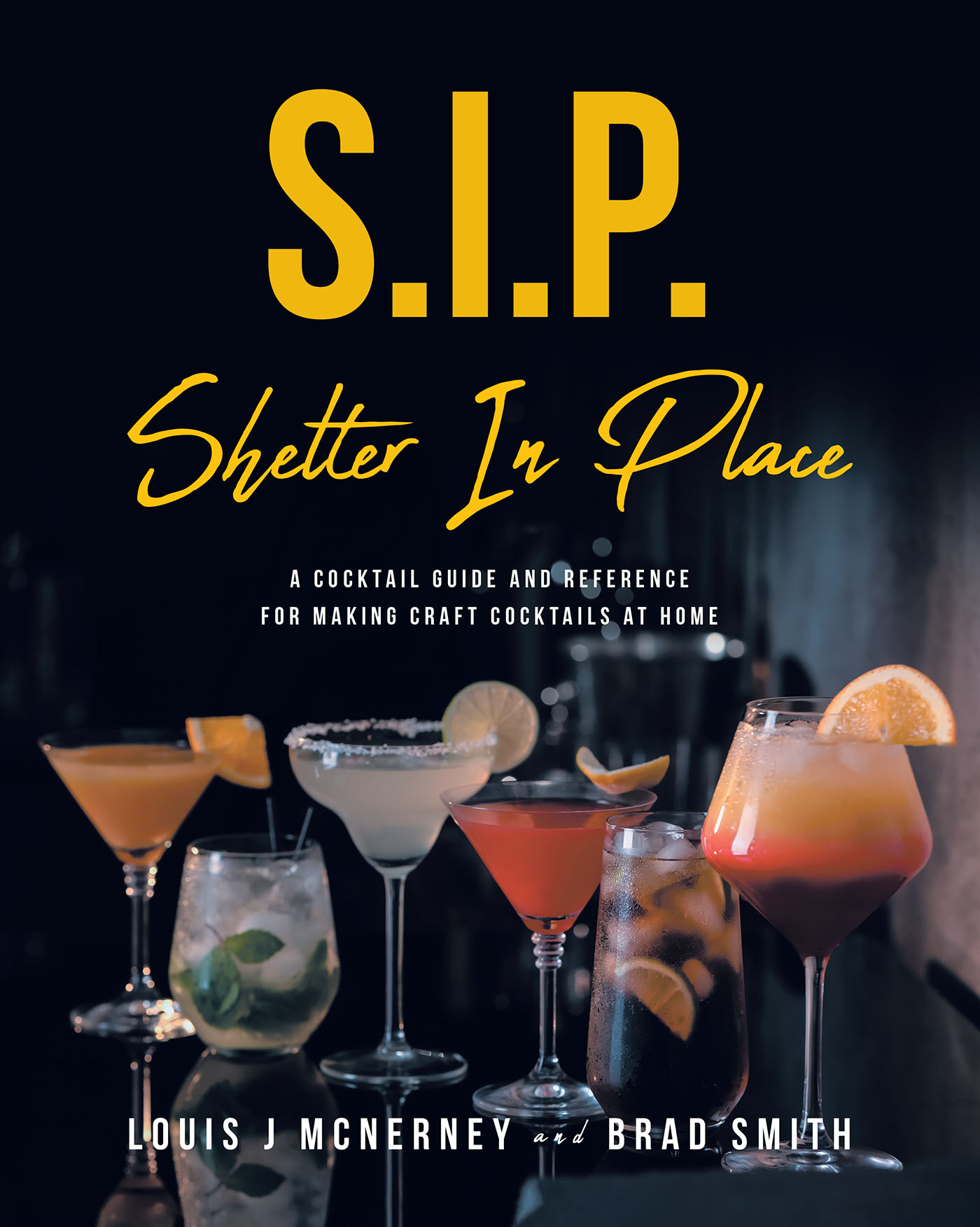 S.I.P. Shelter In Place Cover Image