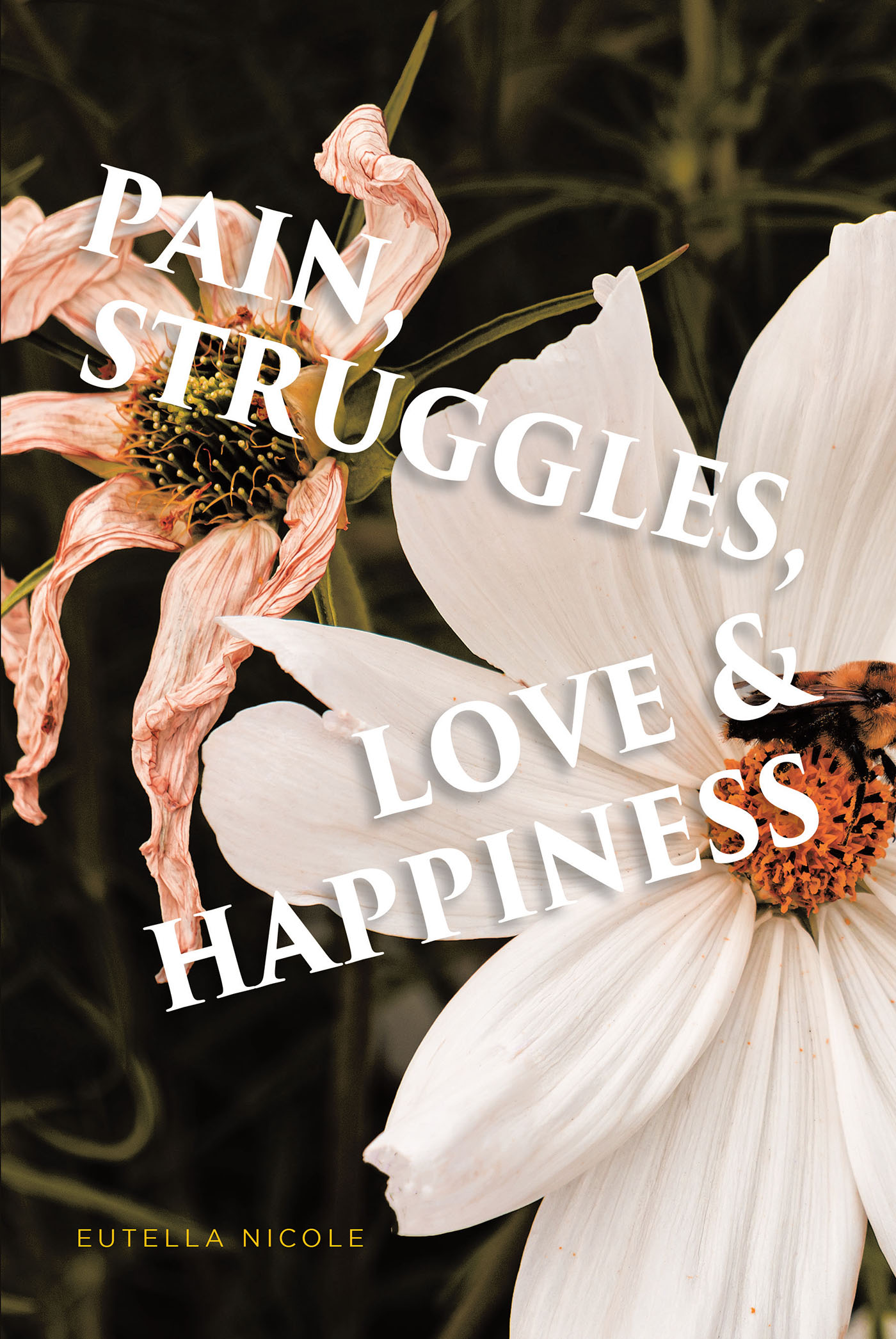 Pain, Struggles, Love and Happiness Cover Image