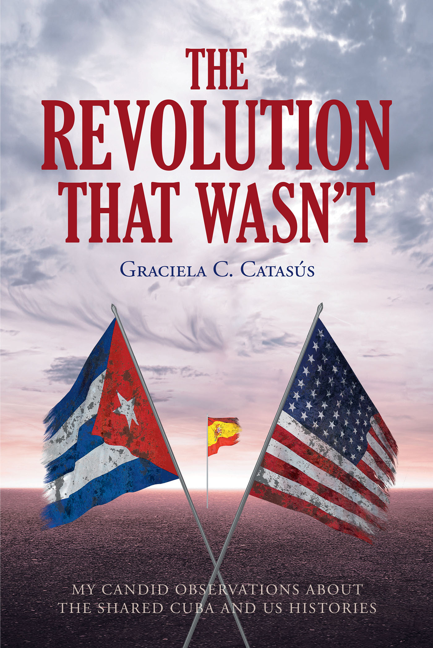 The Revolution that Wasn't Cover Image