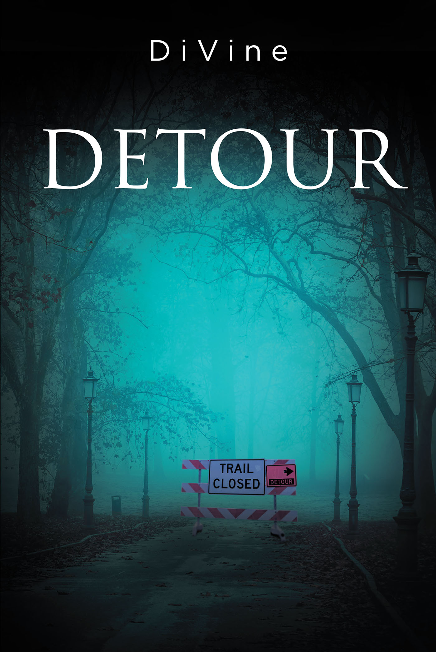 Detour Cover Image