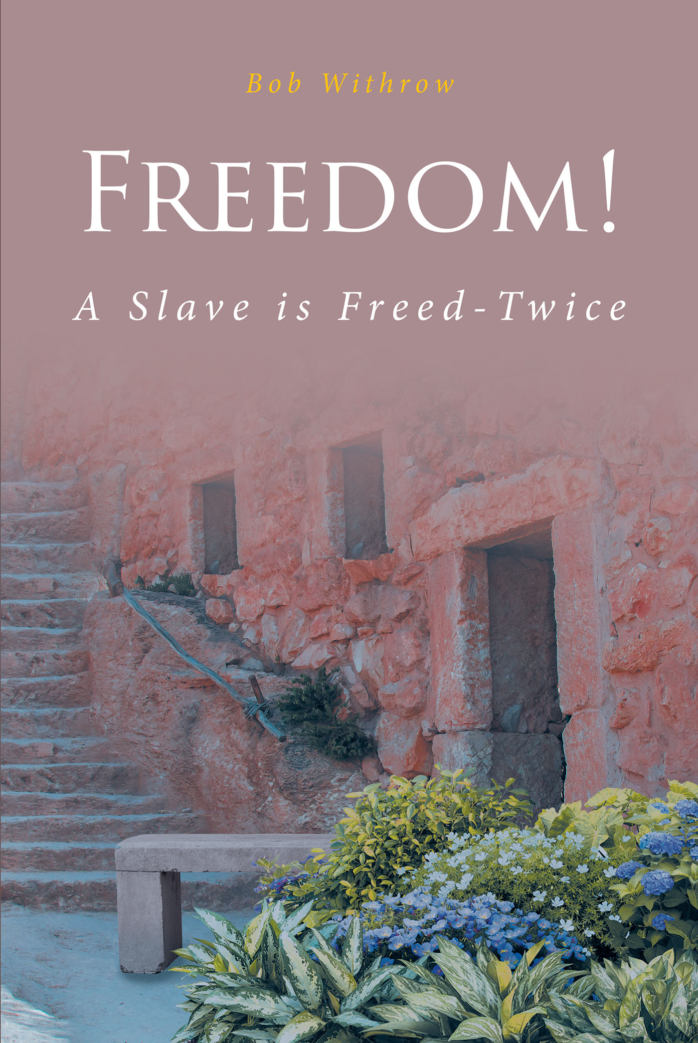 Freedom! A Slave is Freed-Twice Cover Image