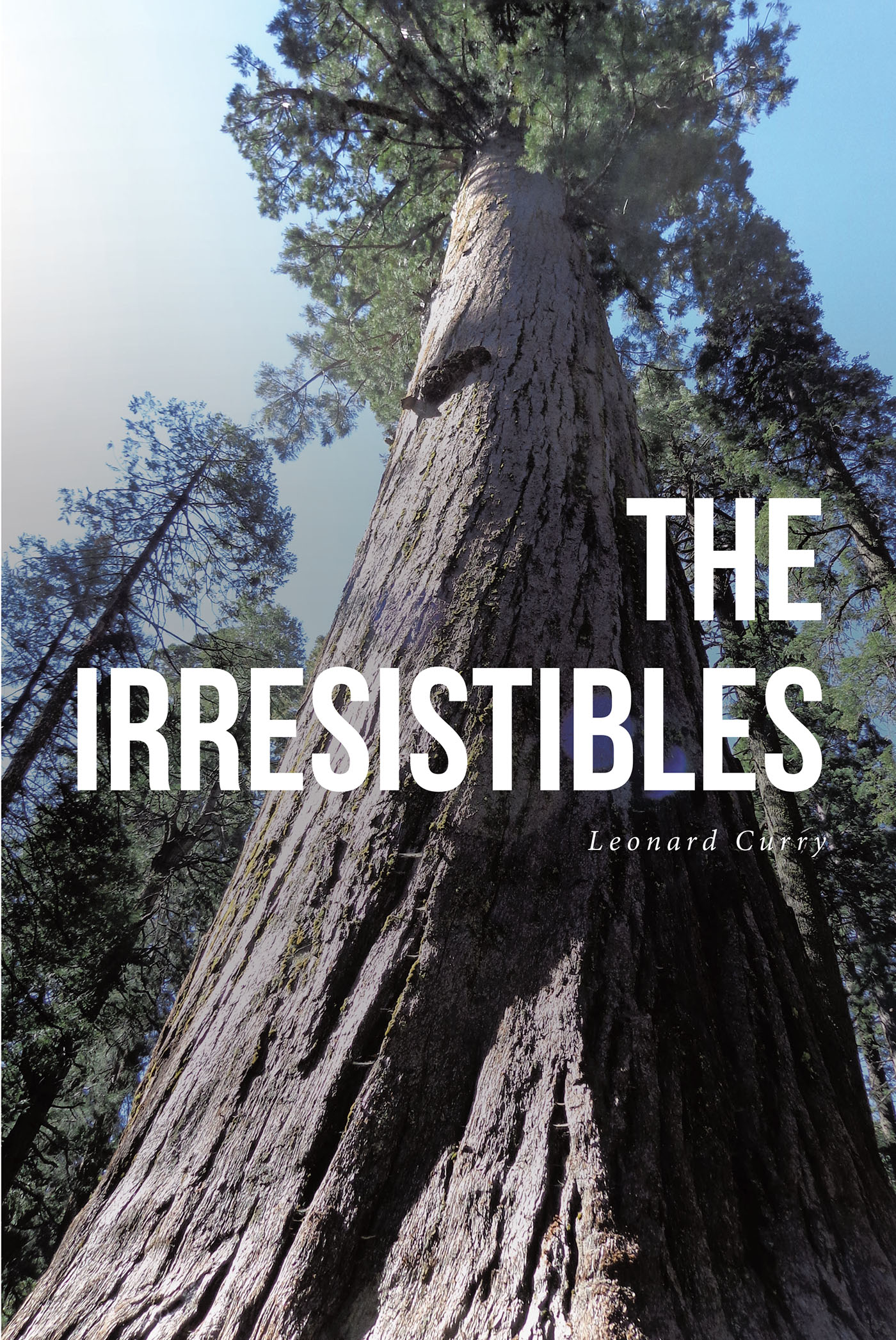 The Irresistibles Cover Image