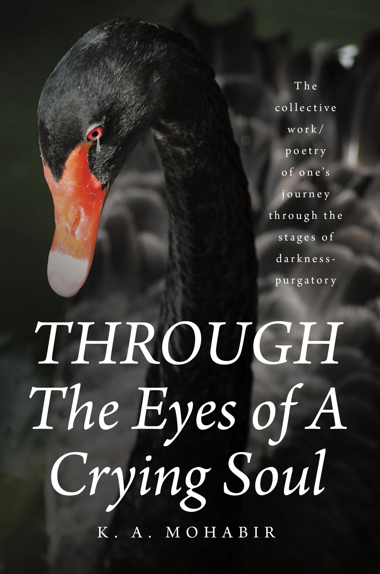 THROUGH The Eyes of A Crying Soul Cover Image