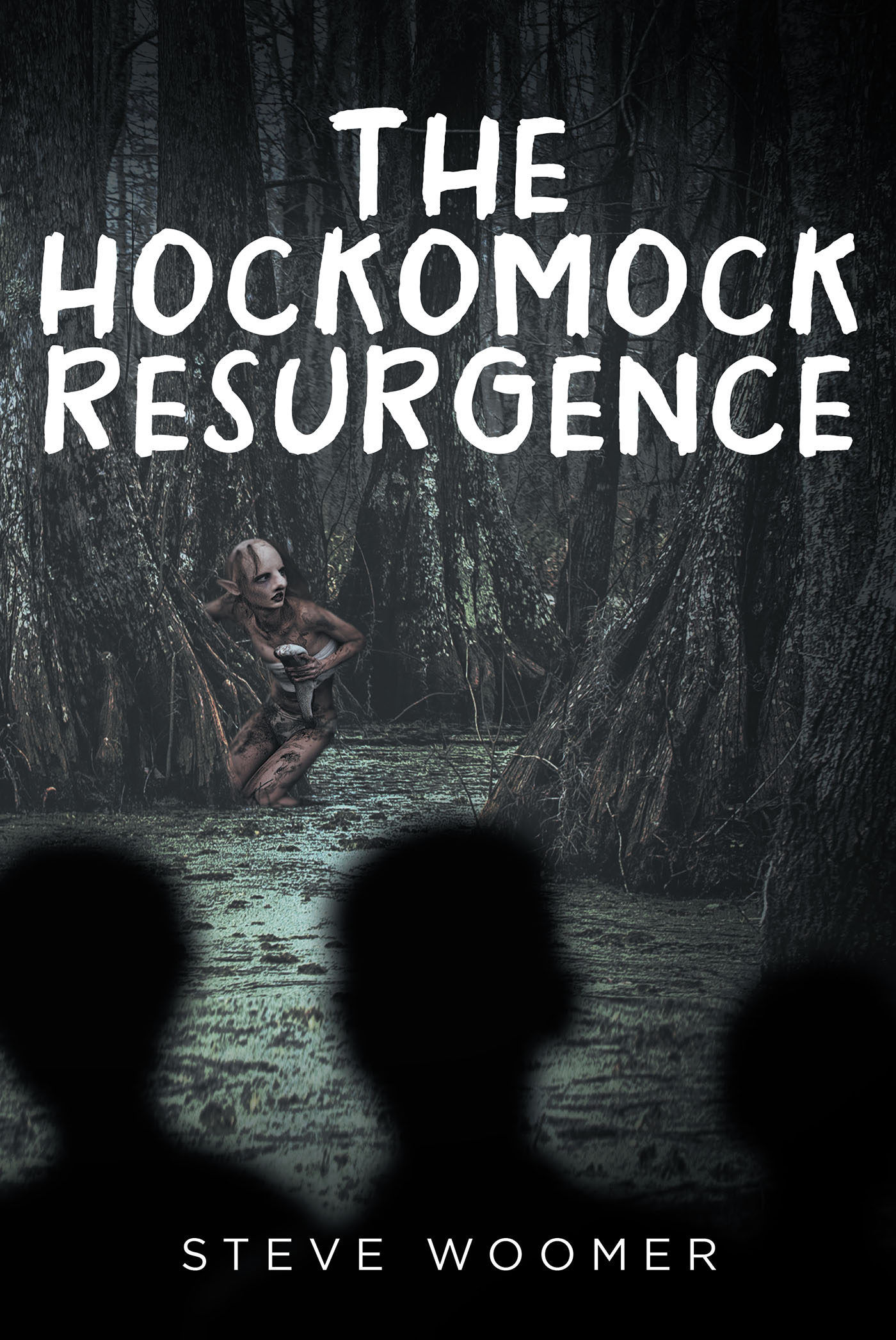 The Hockomock Resurgence Cover Image
