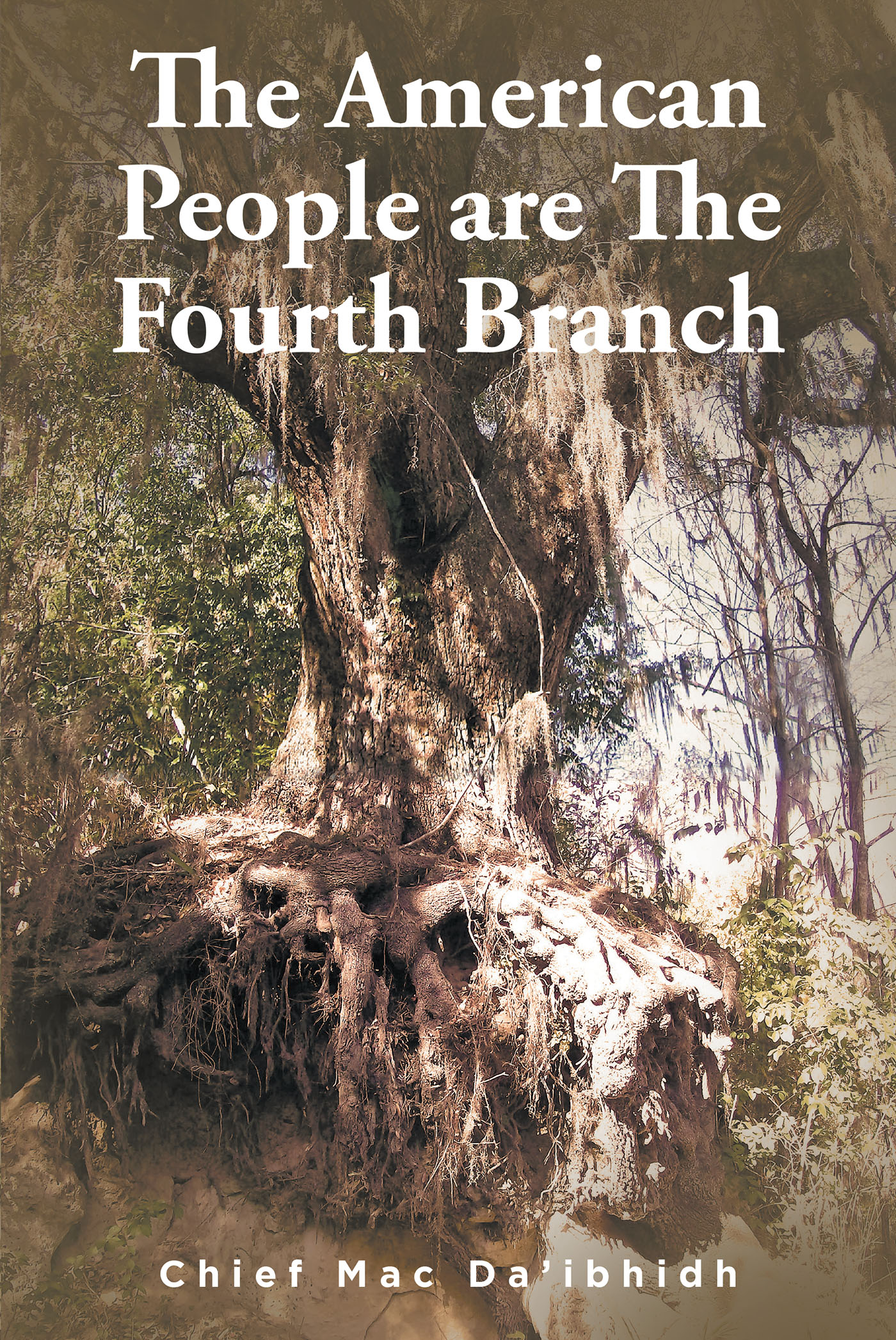 The American People are The Fourth Branch Cover Image