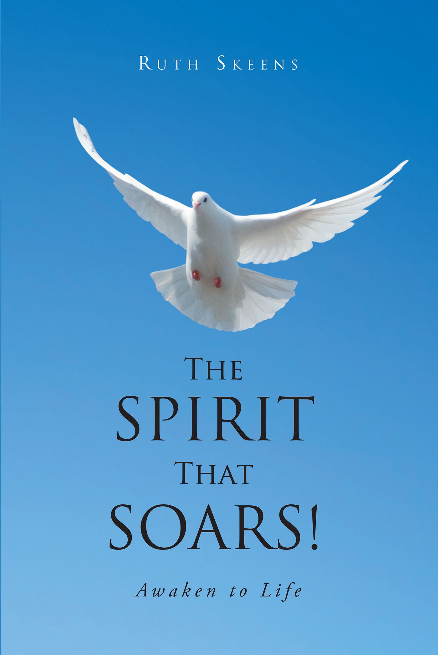 The Spirit that Soars Cover Image