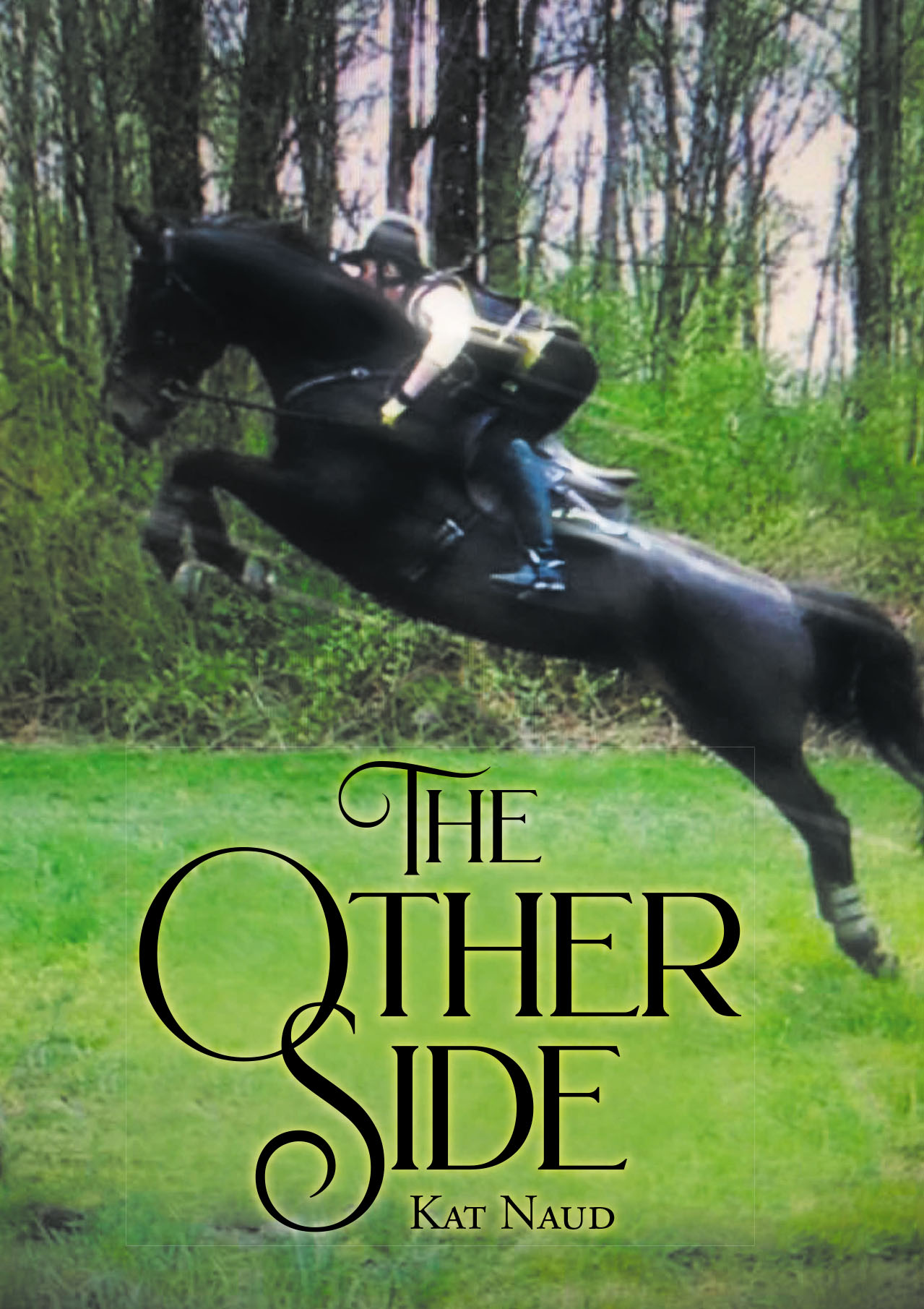 The Other Side Cover Image