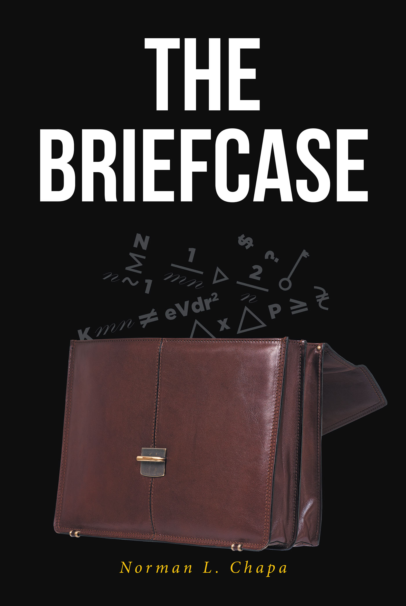 The Briefcase Cover Image