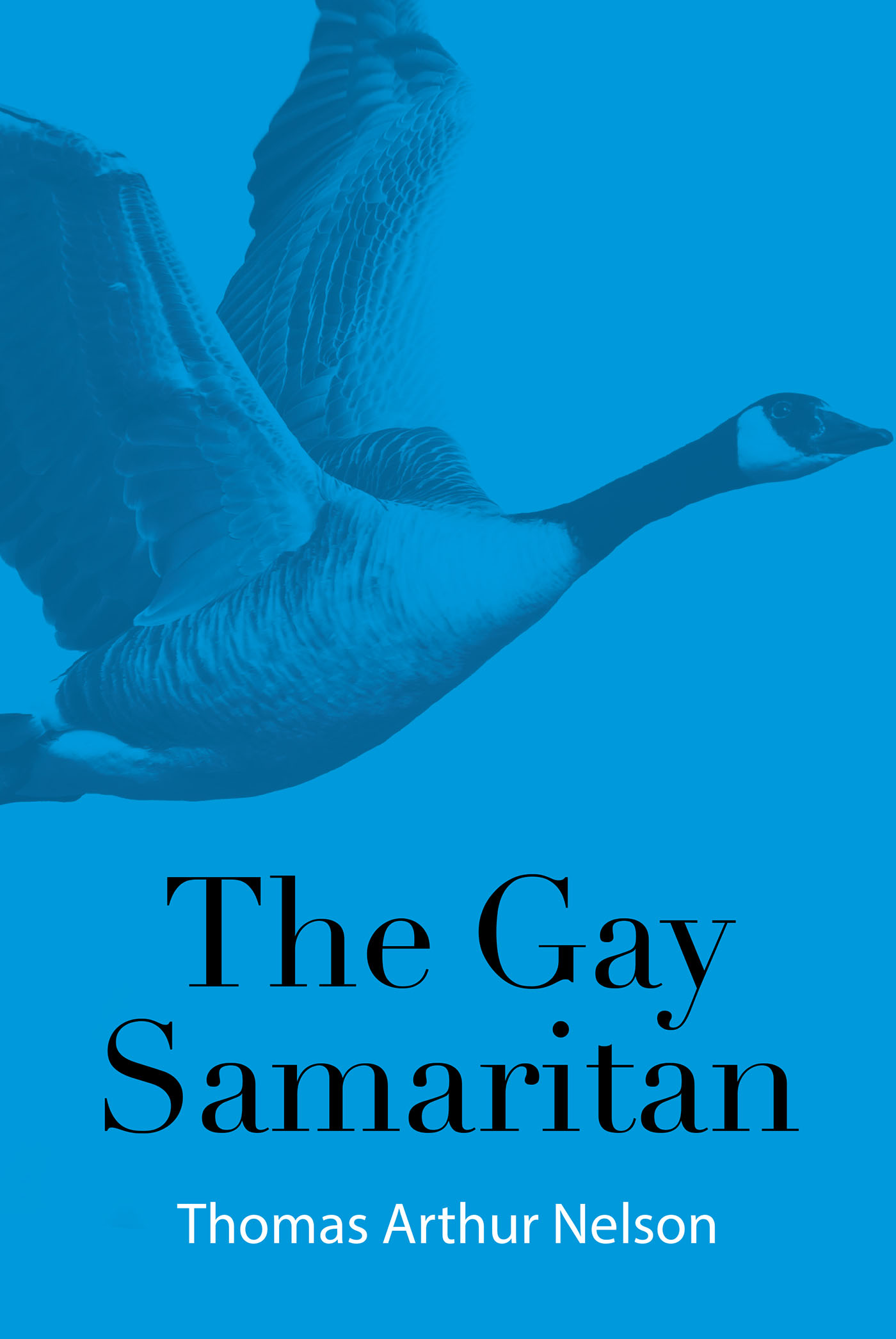 The Gay Samaritan Cover Image
