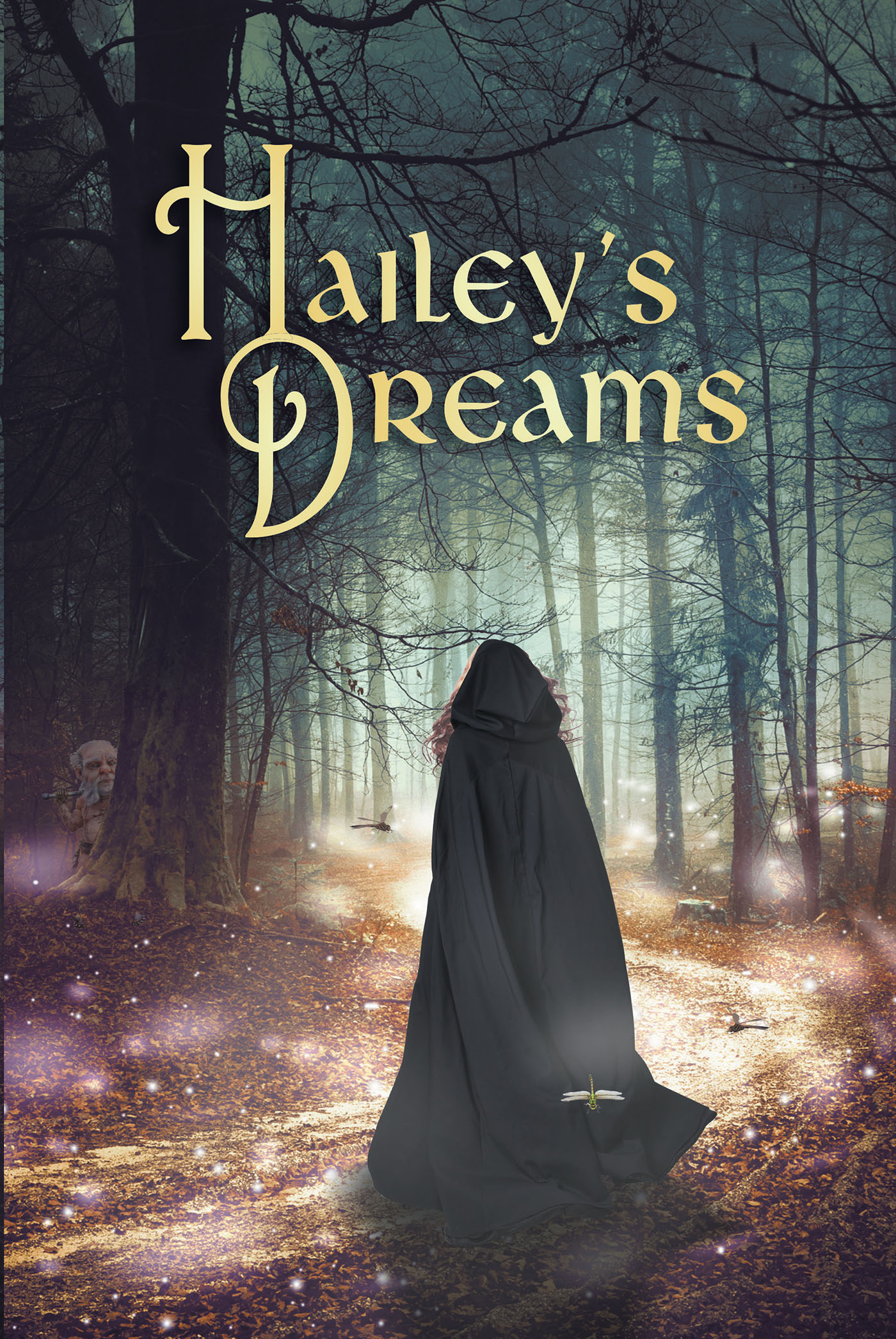 Hailey's Dreams Cover Image