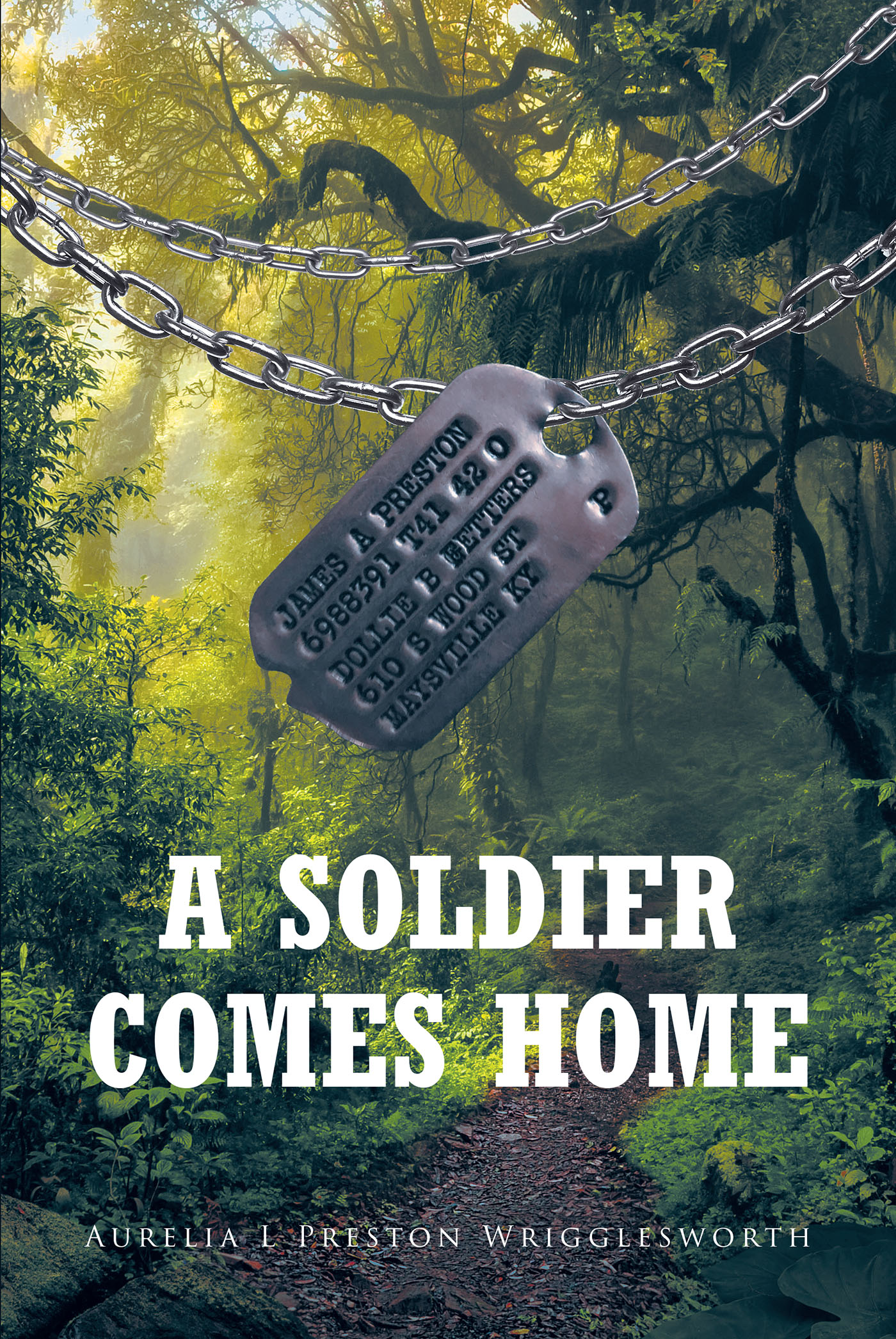 A Soldier Comes Home Cover Image