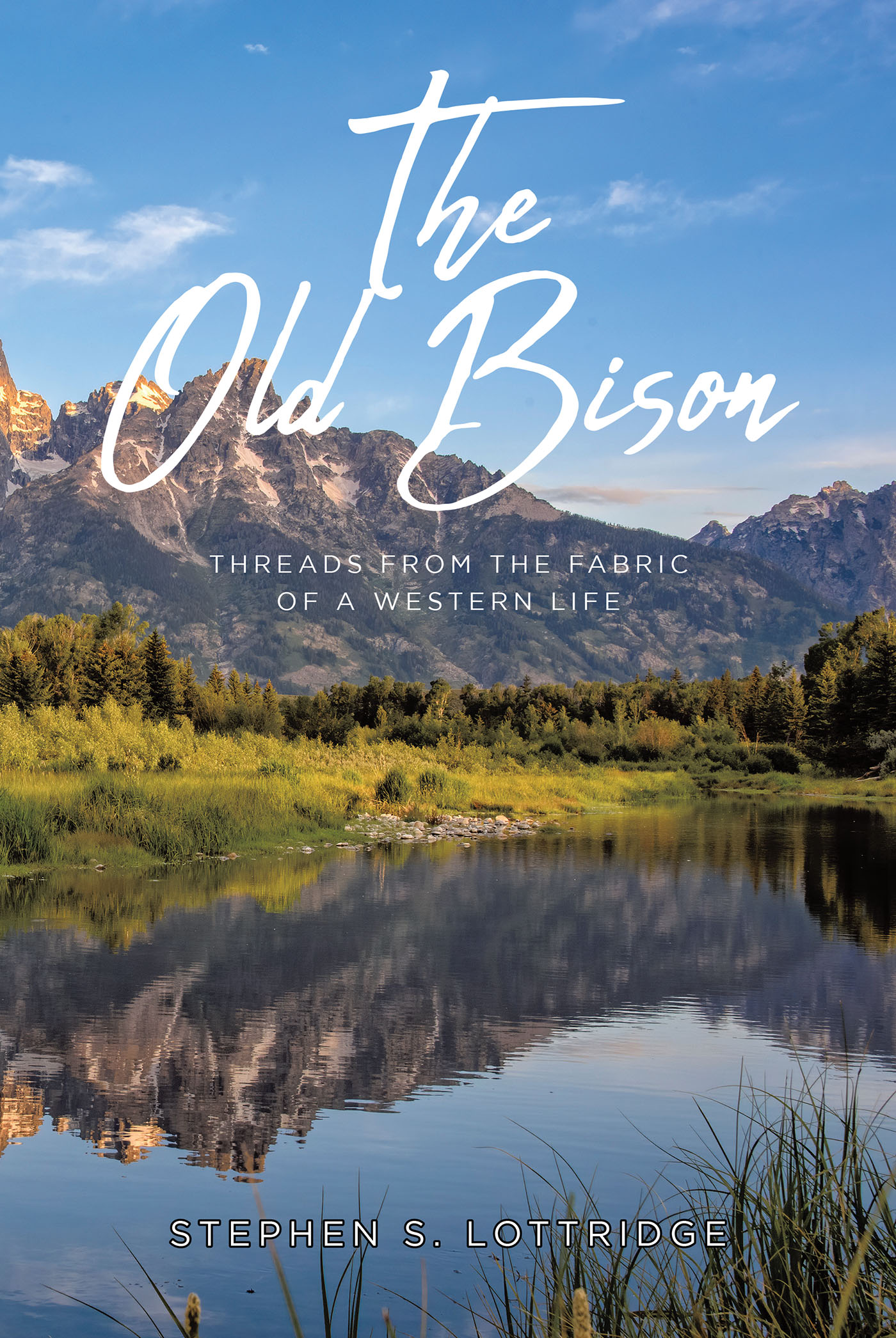 The Old Bison Cover Image