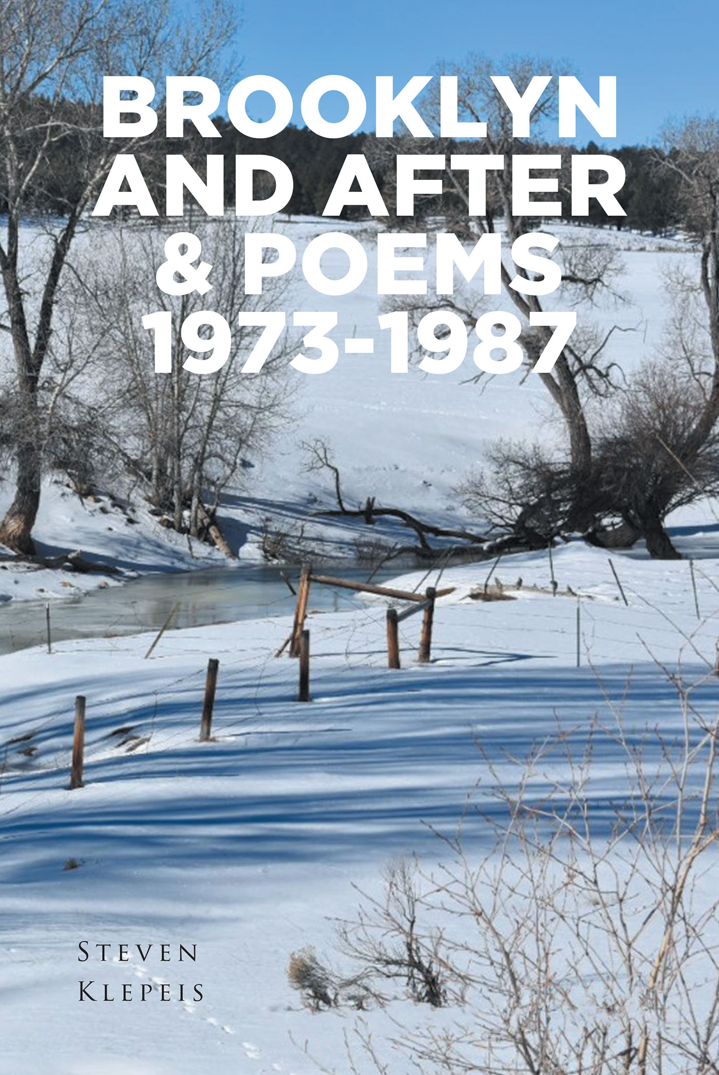 Brooklyn and After & Poems 1973-1987 Cover Image