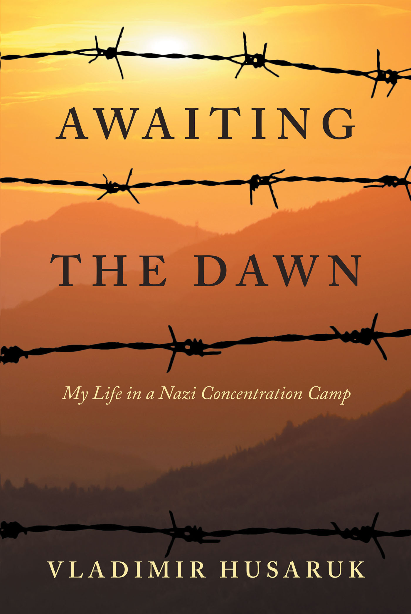 Awaiting The Dawn Cover Image