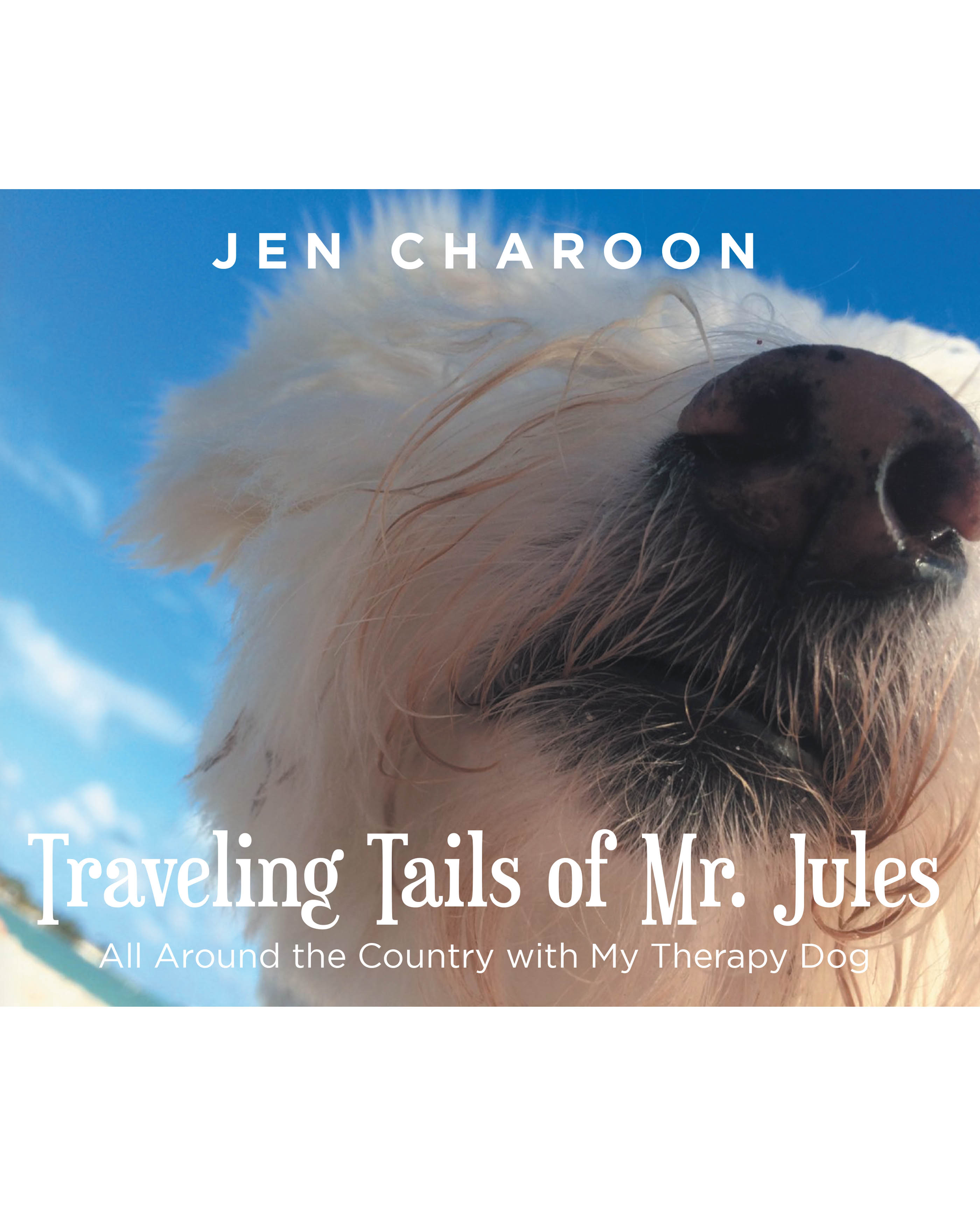 Traveling Tails of Mr. Jules Cover Image
