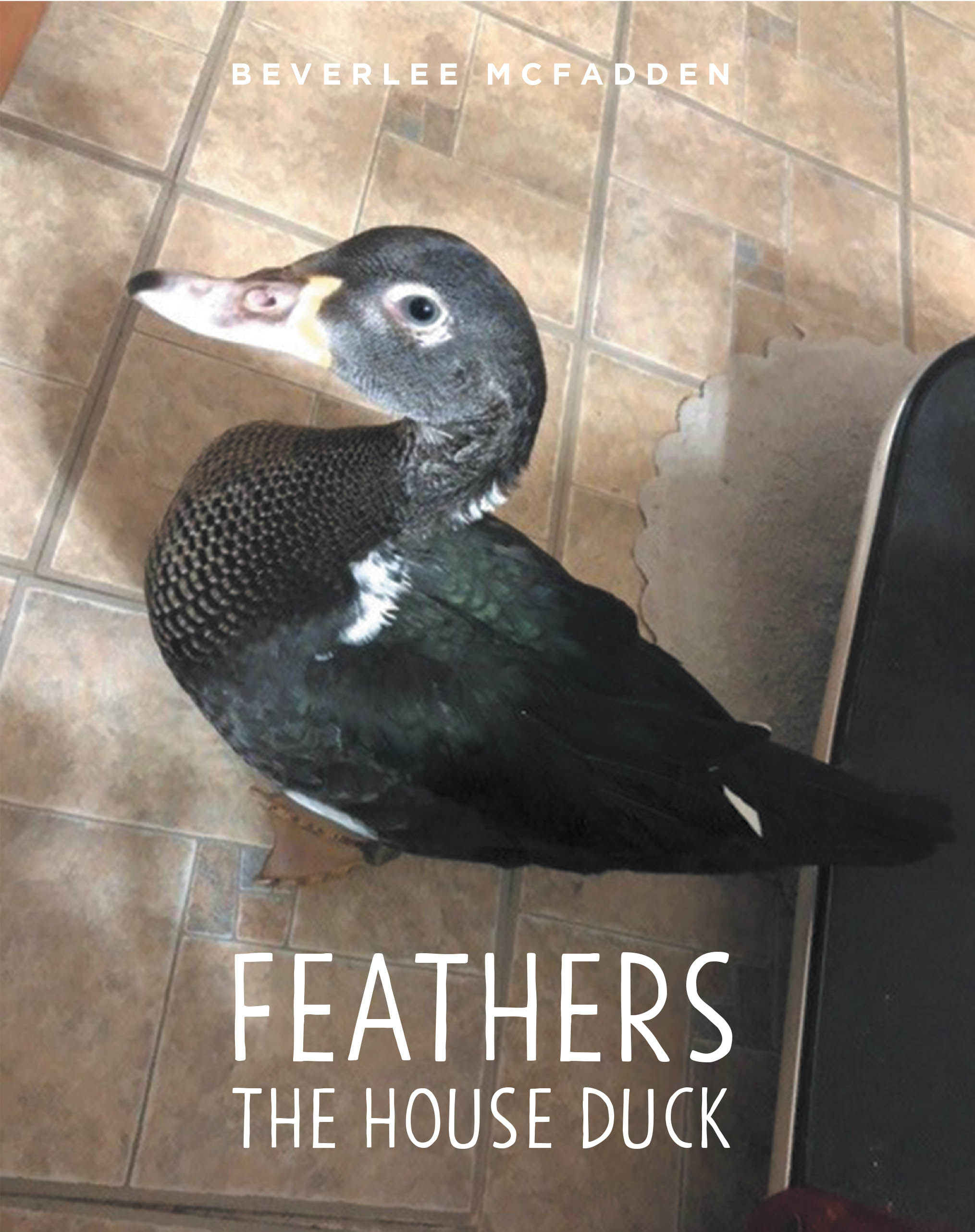 Feathers the House Duck Cover Image