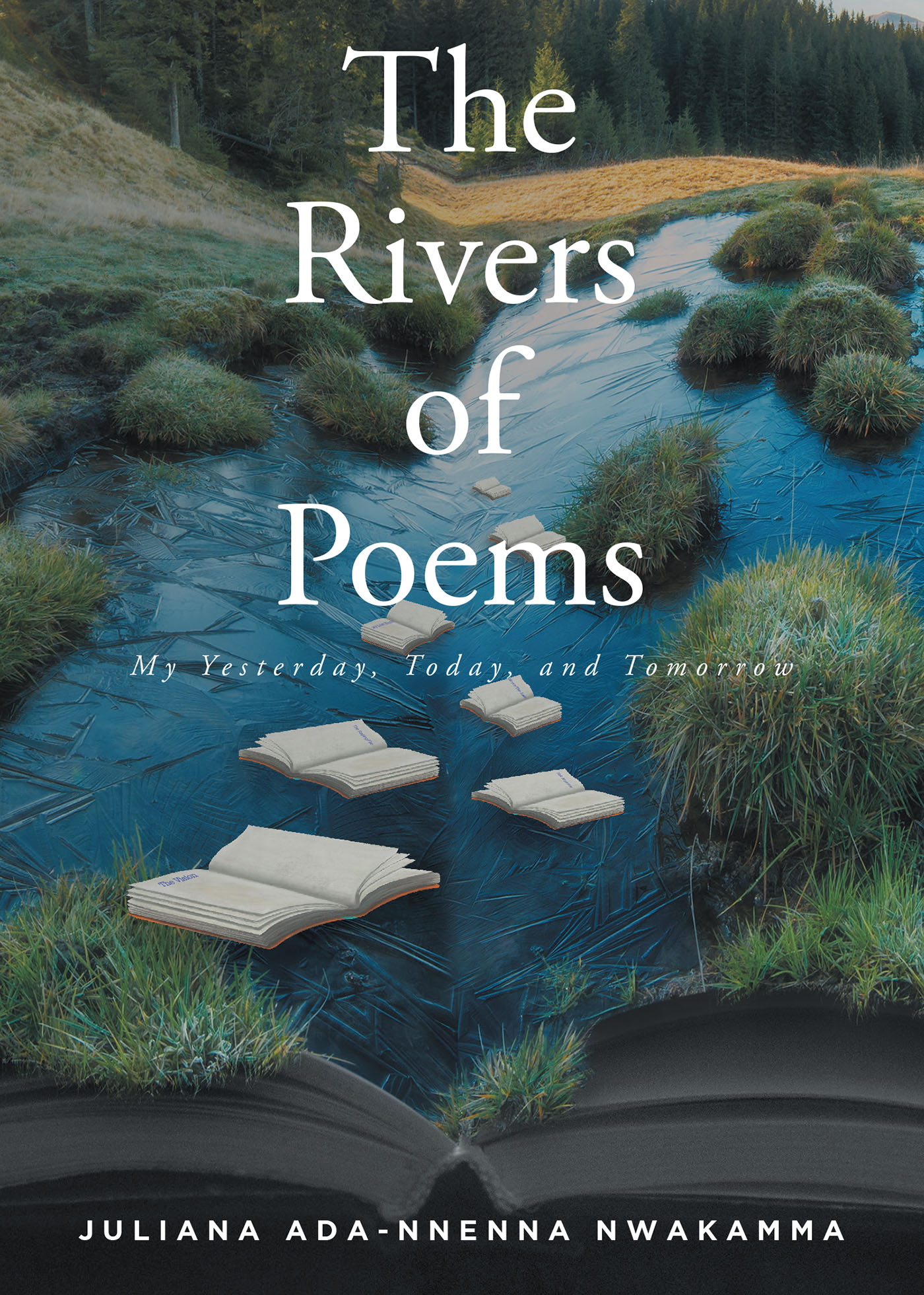 The Rivers Of Poems Cover Image