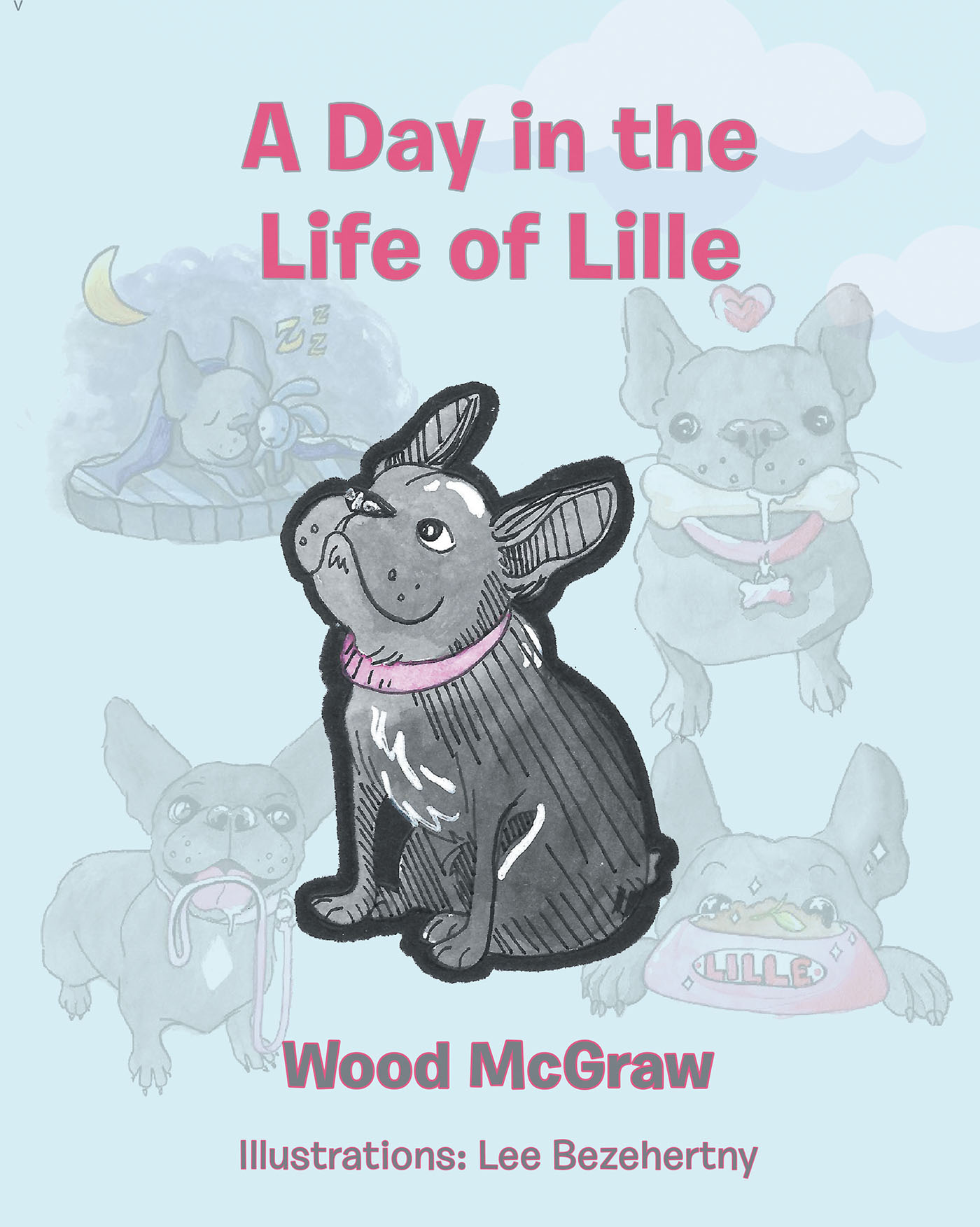 A Day in the Life of Lille Cover Image