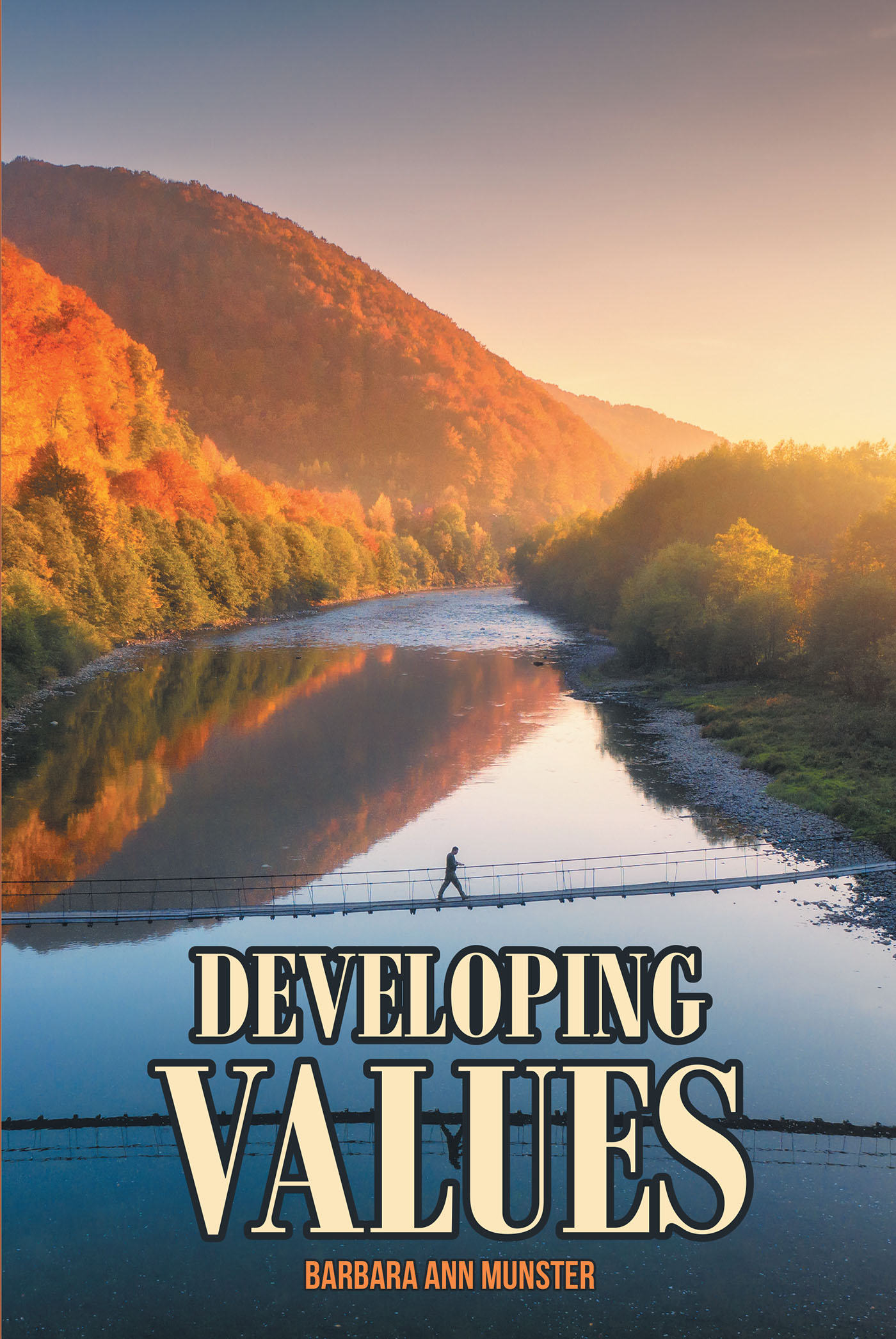 Developing Values Cover Image