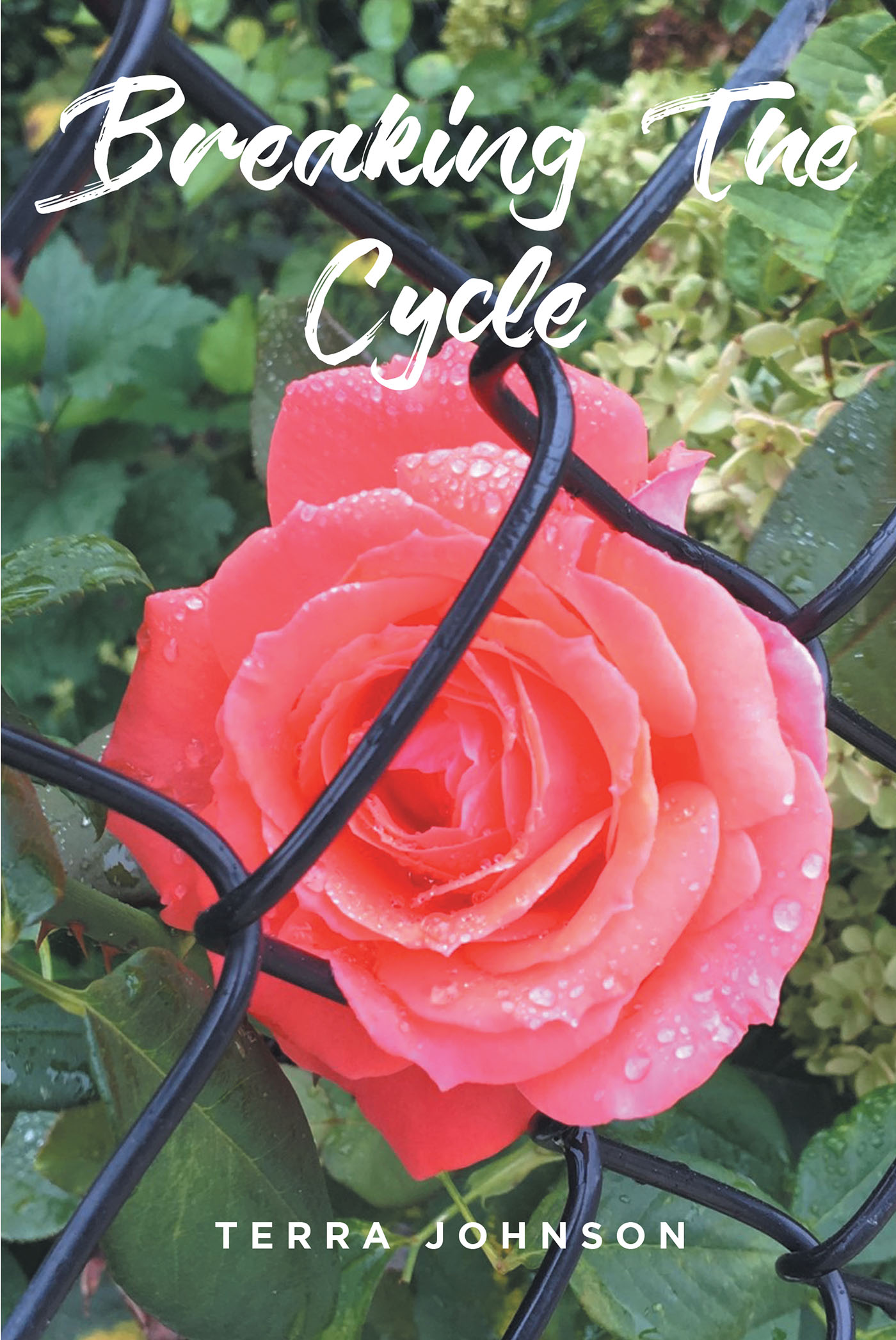 Breaking The Cycle Cover Image