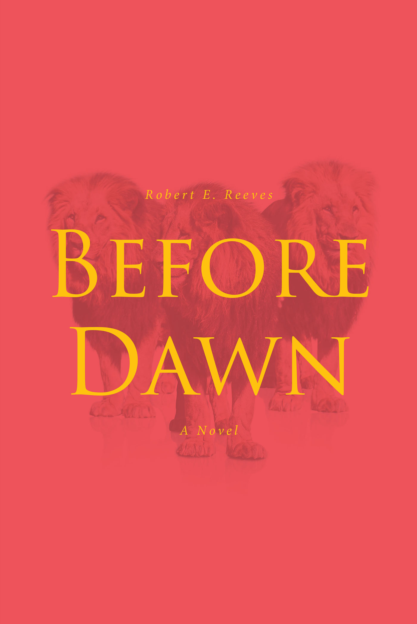 Before Dawn Cover Image