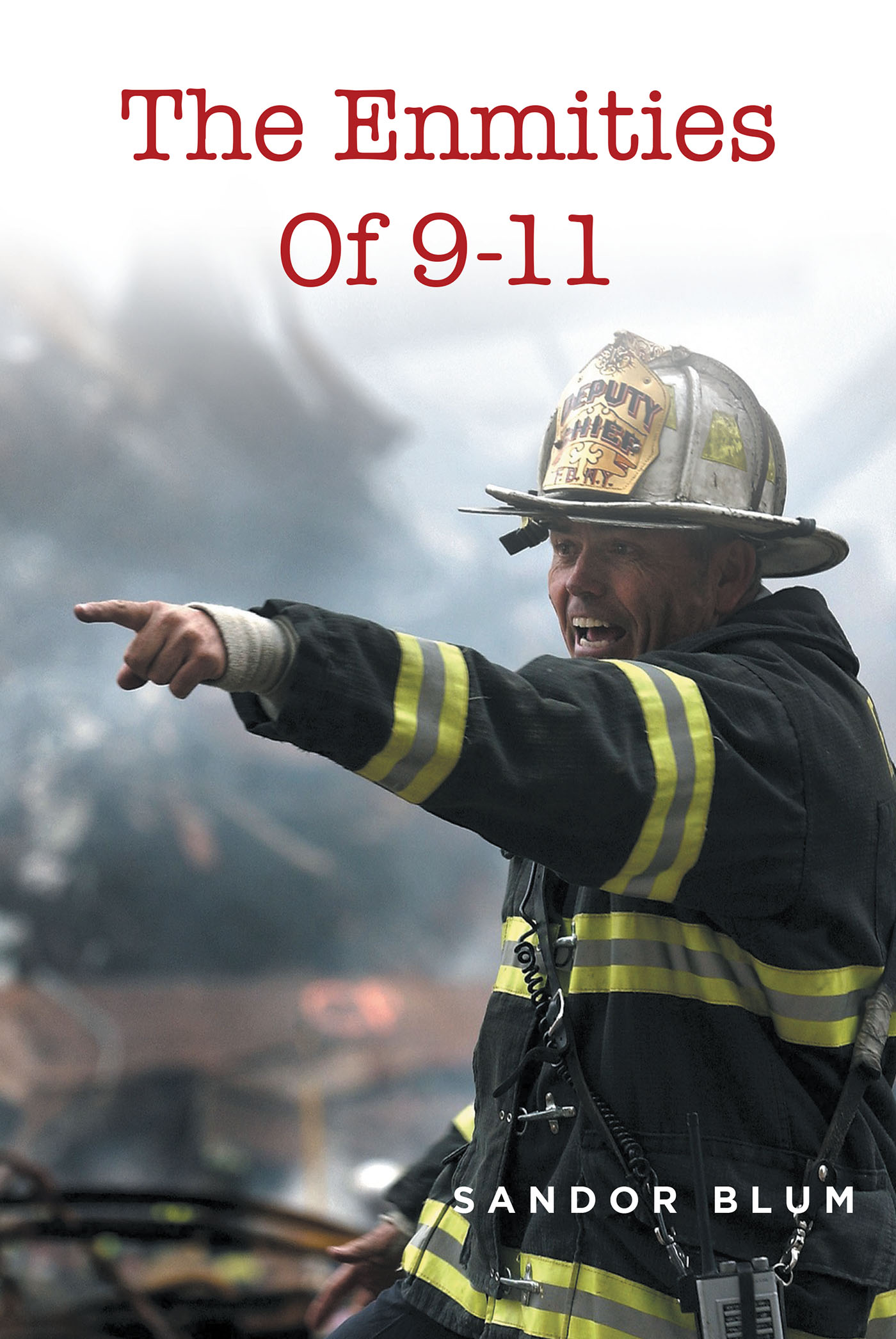 The Enmities Of 9-11 Cover Image