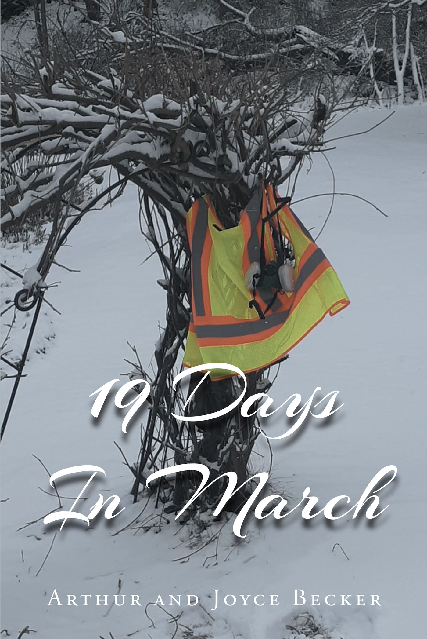 19 Days In March Cover Image