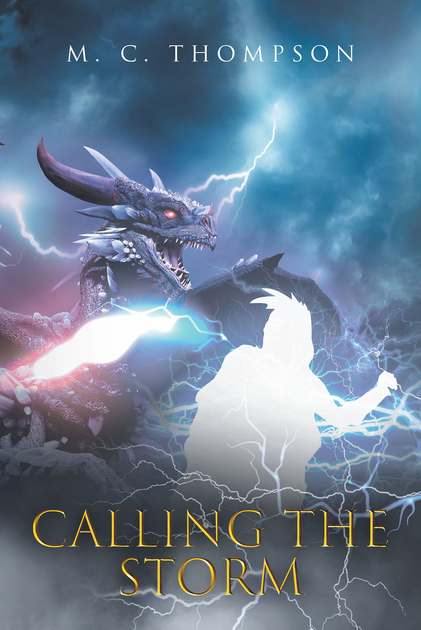 Calling the Storm Cover Image