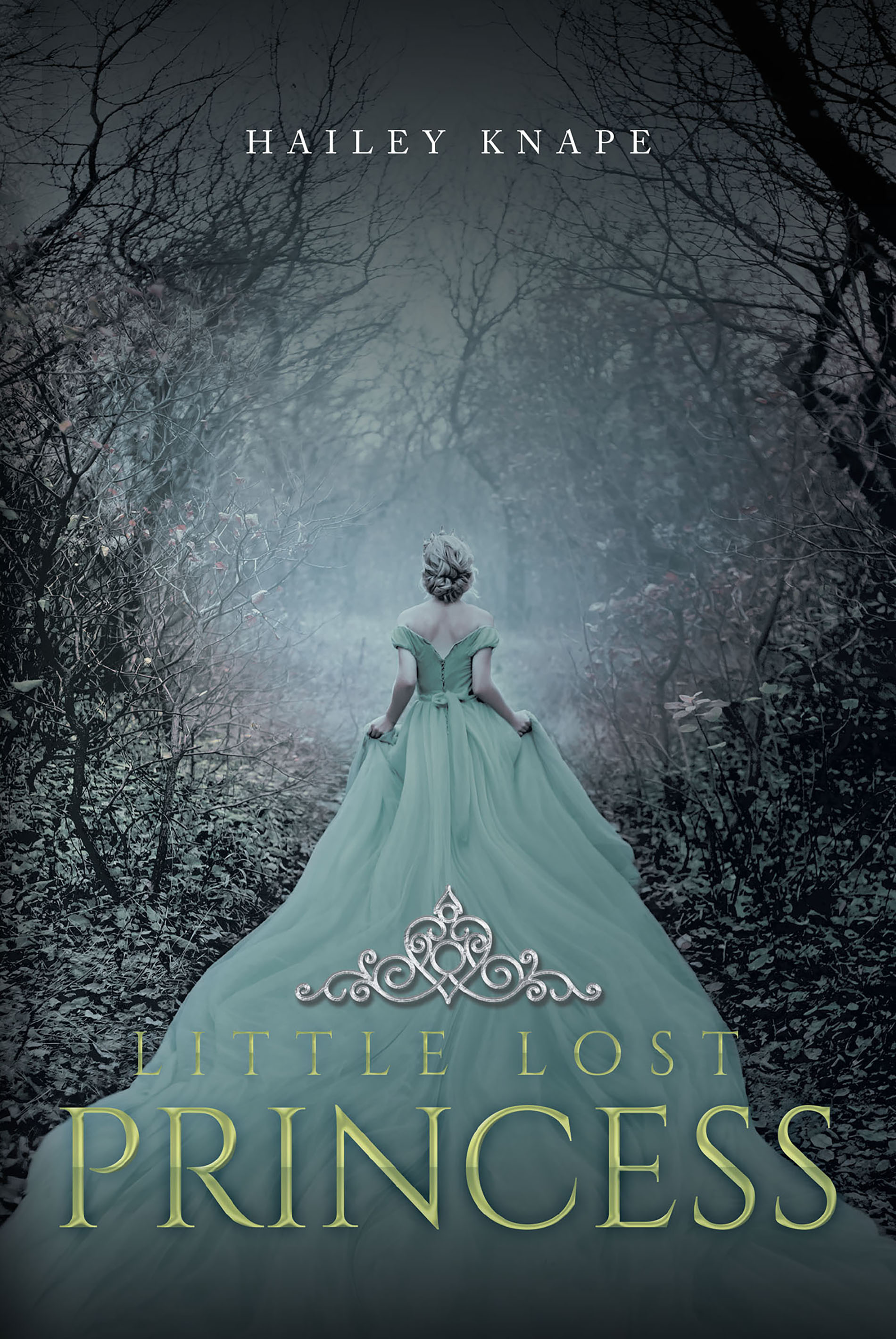 Little Lost Princess Cover Image