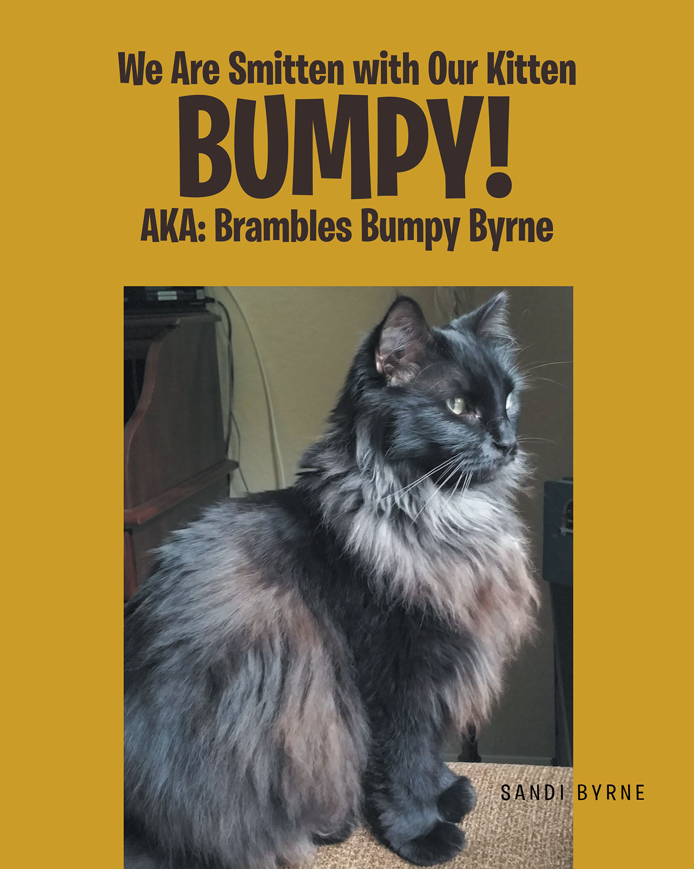 We Are Smitten with Our Kitten Bumpy! AKA: Brambles Bumpy Byrne Cover Image