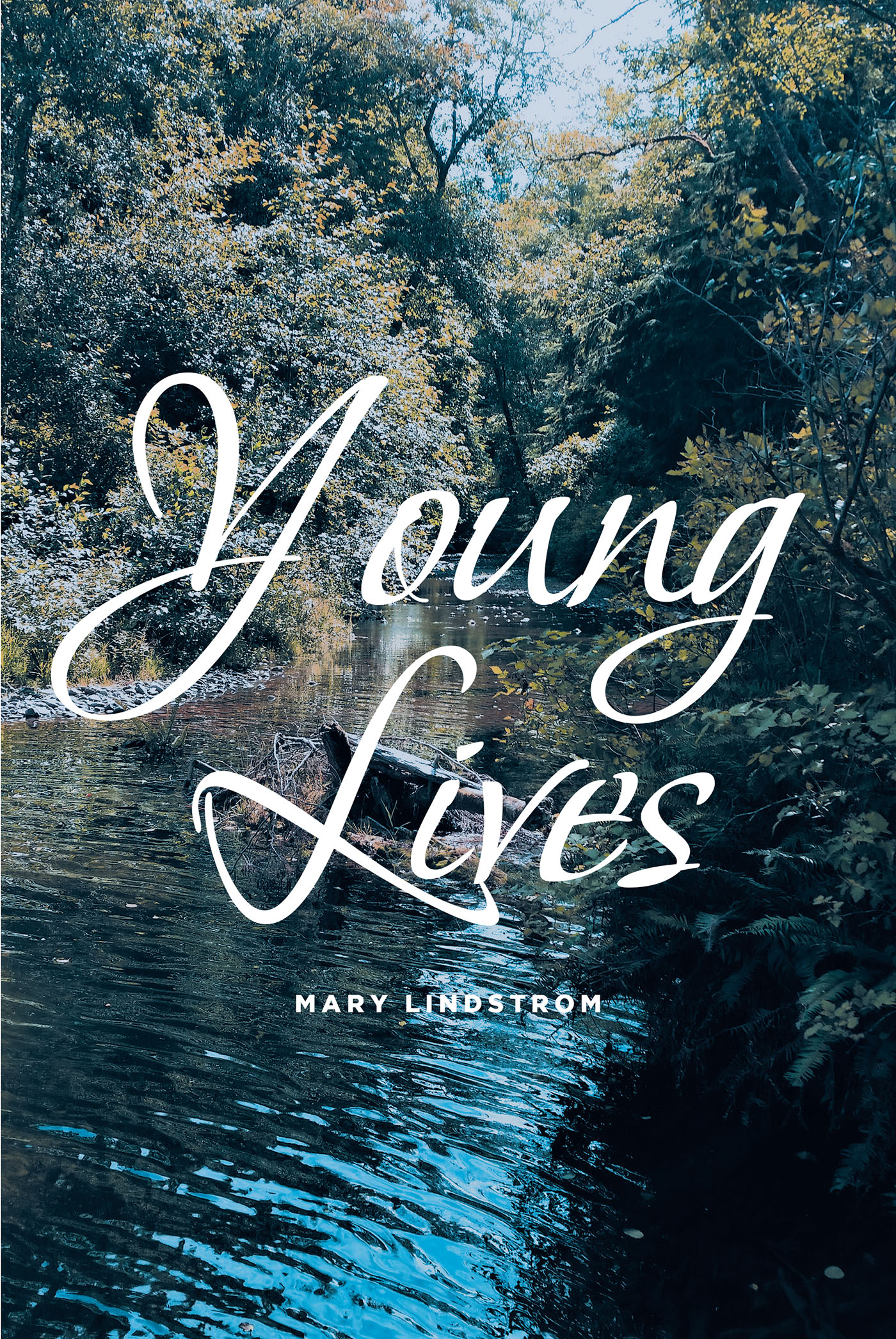 Young Lives Cover Image