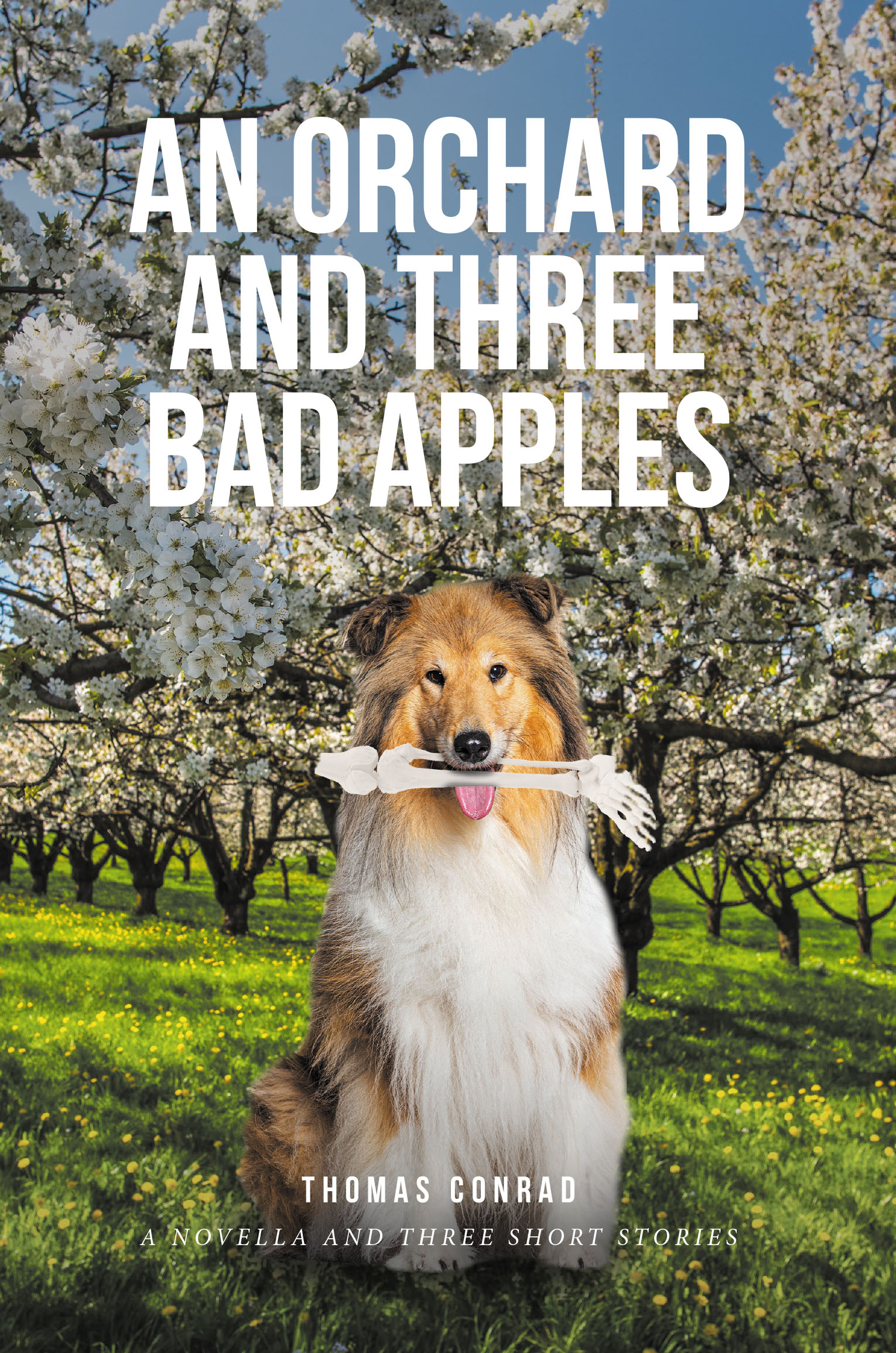 An Orchard and Three Bad Apples Cover Image