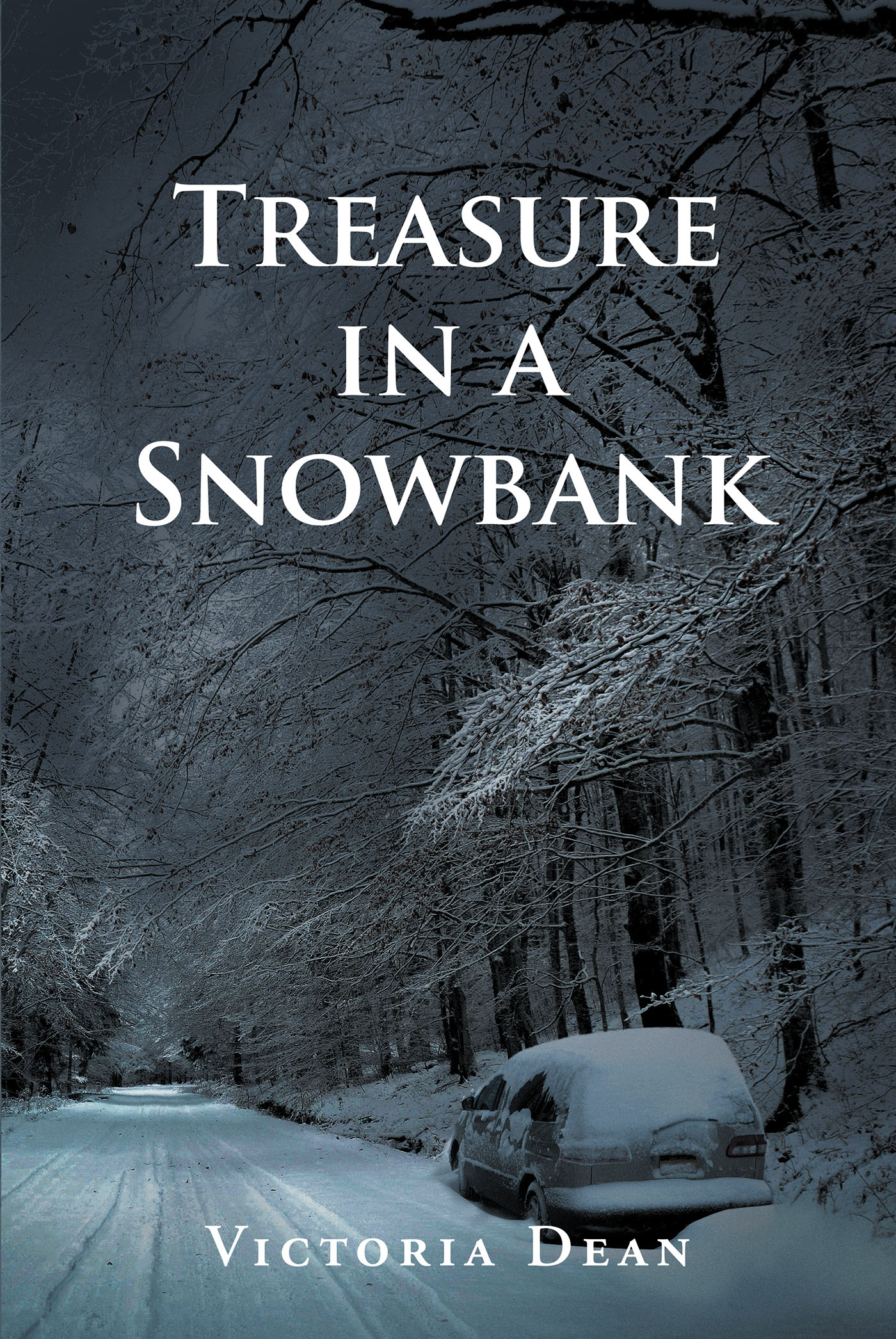Treasure in a Snowbank Cover Image