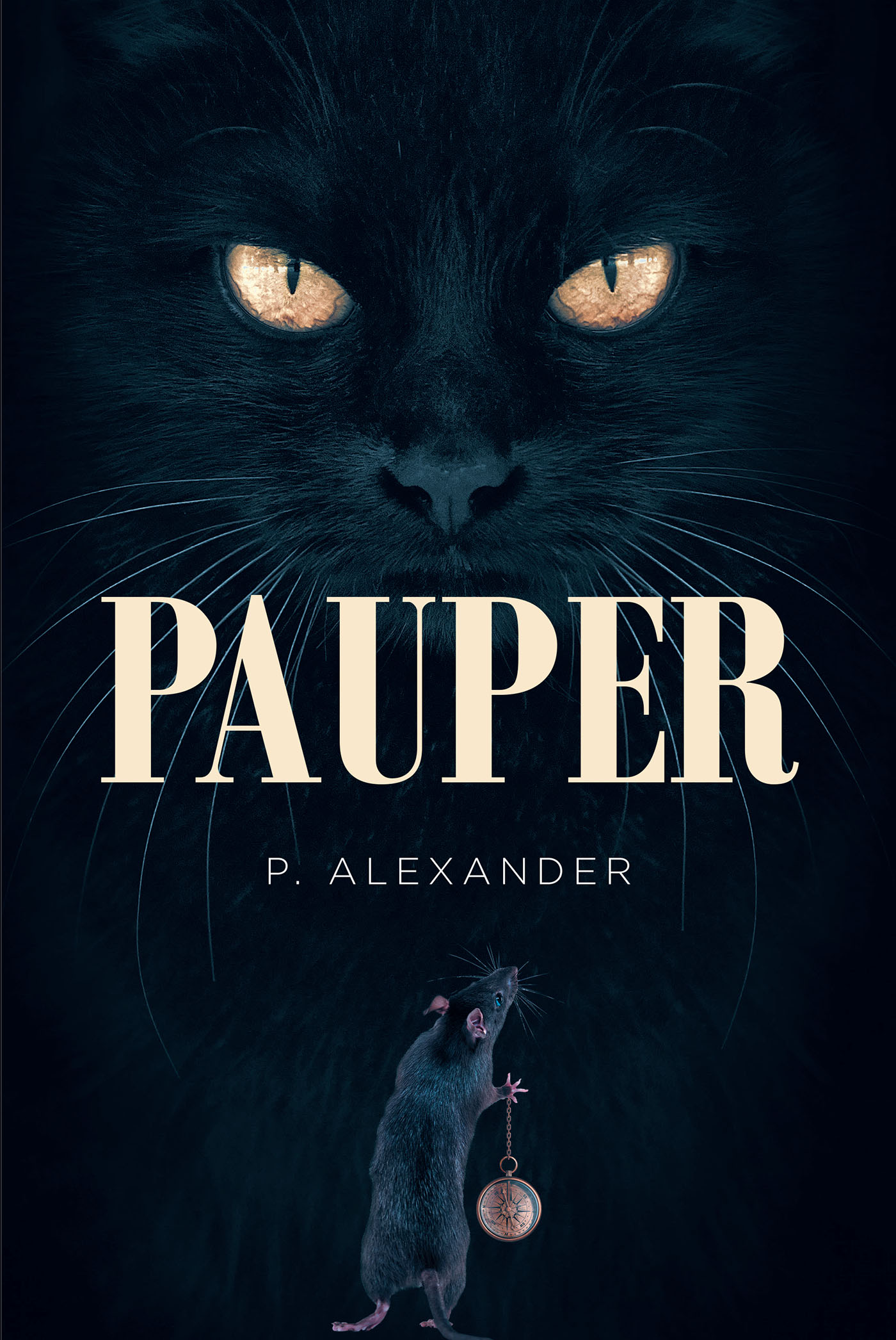 Pauper Cover Image