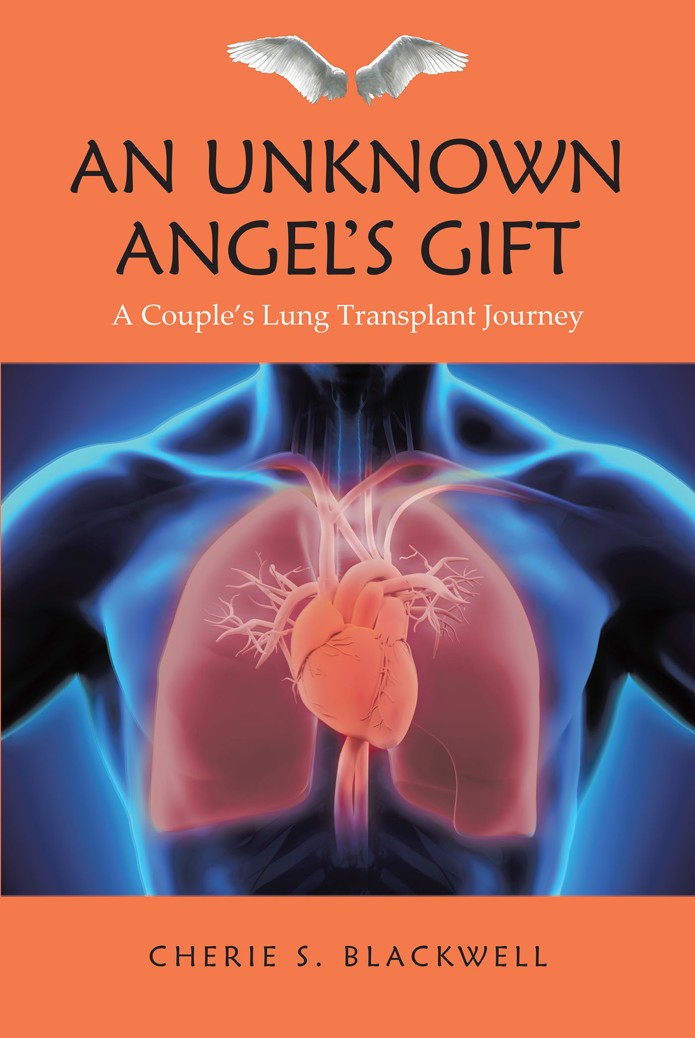 An Unknown Angel's Gift Cover Image