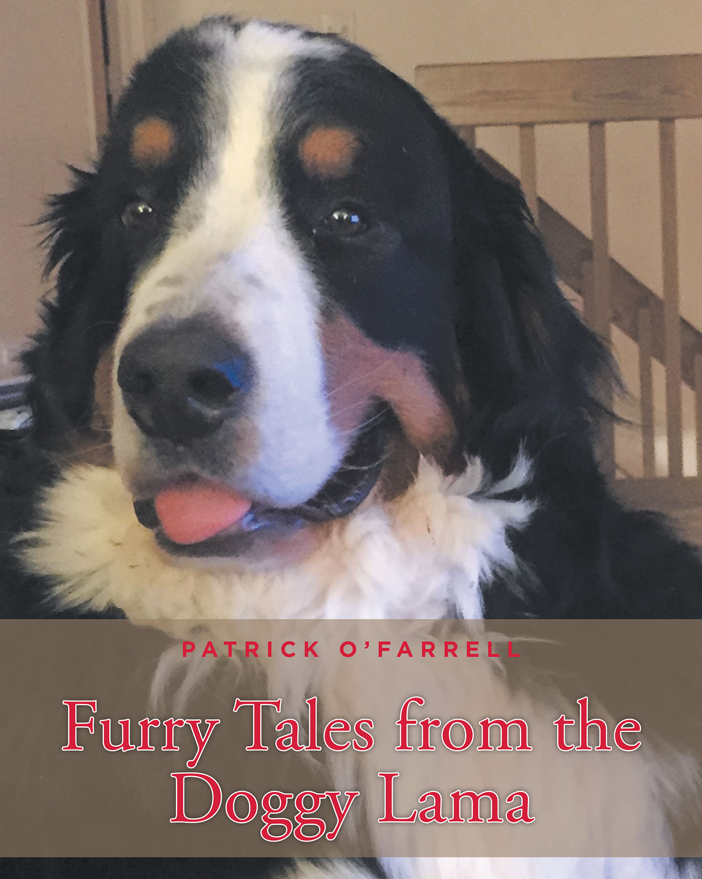 Furry Tales from the Doggy Lama Cover Image