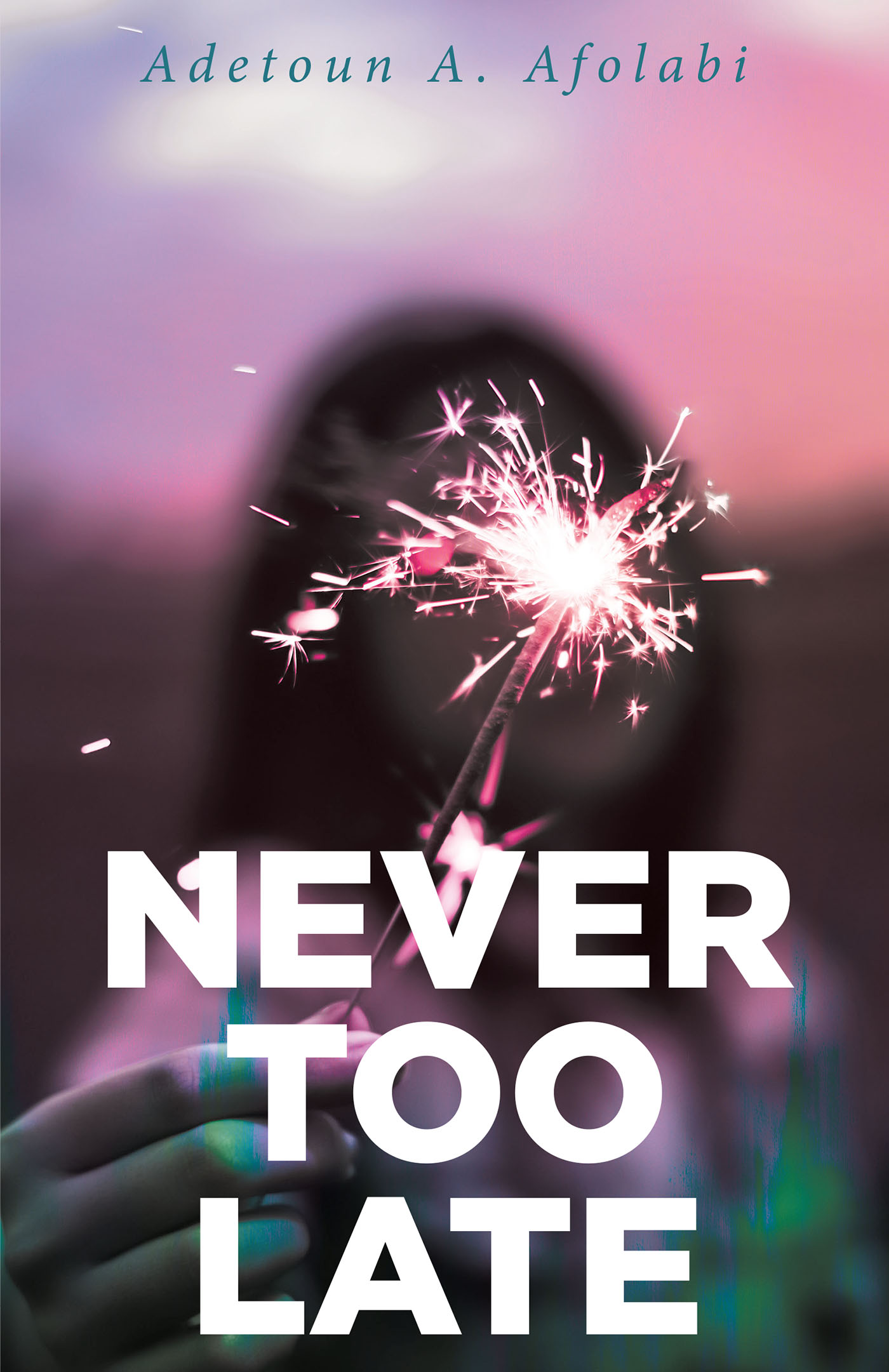 Never Too Late Cover Image