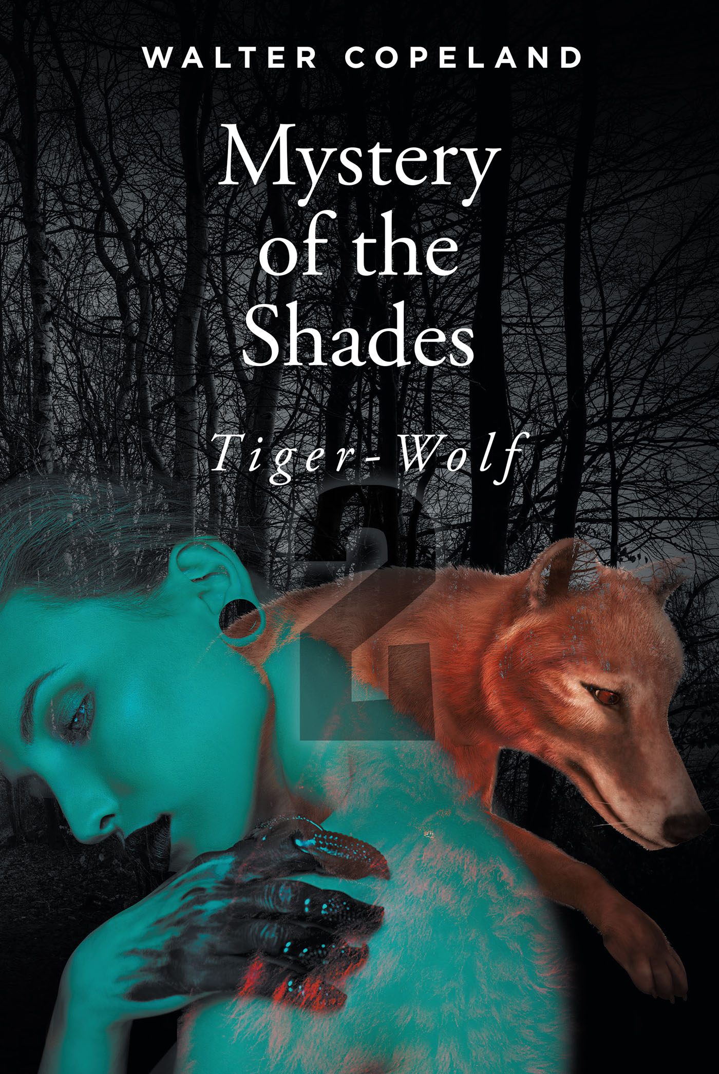Mystery of the Shades Cover Image