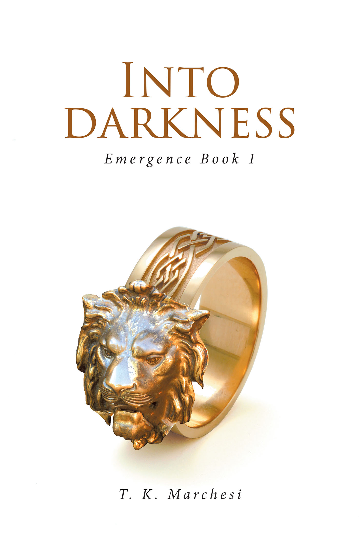 Into Darkness Cover Image