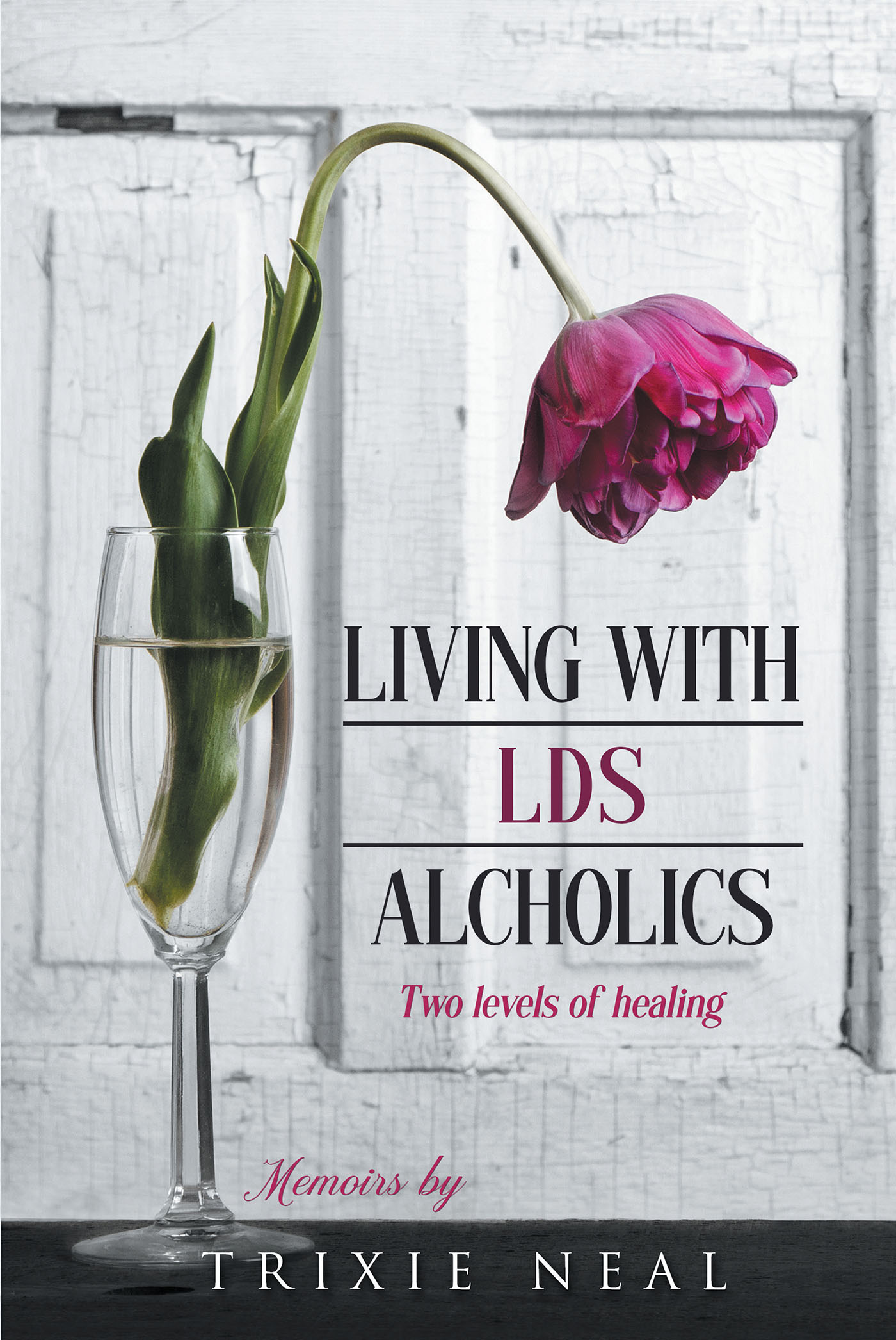Living with LDS Alcoholics Cover Image