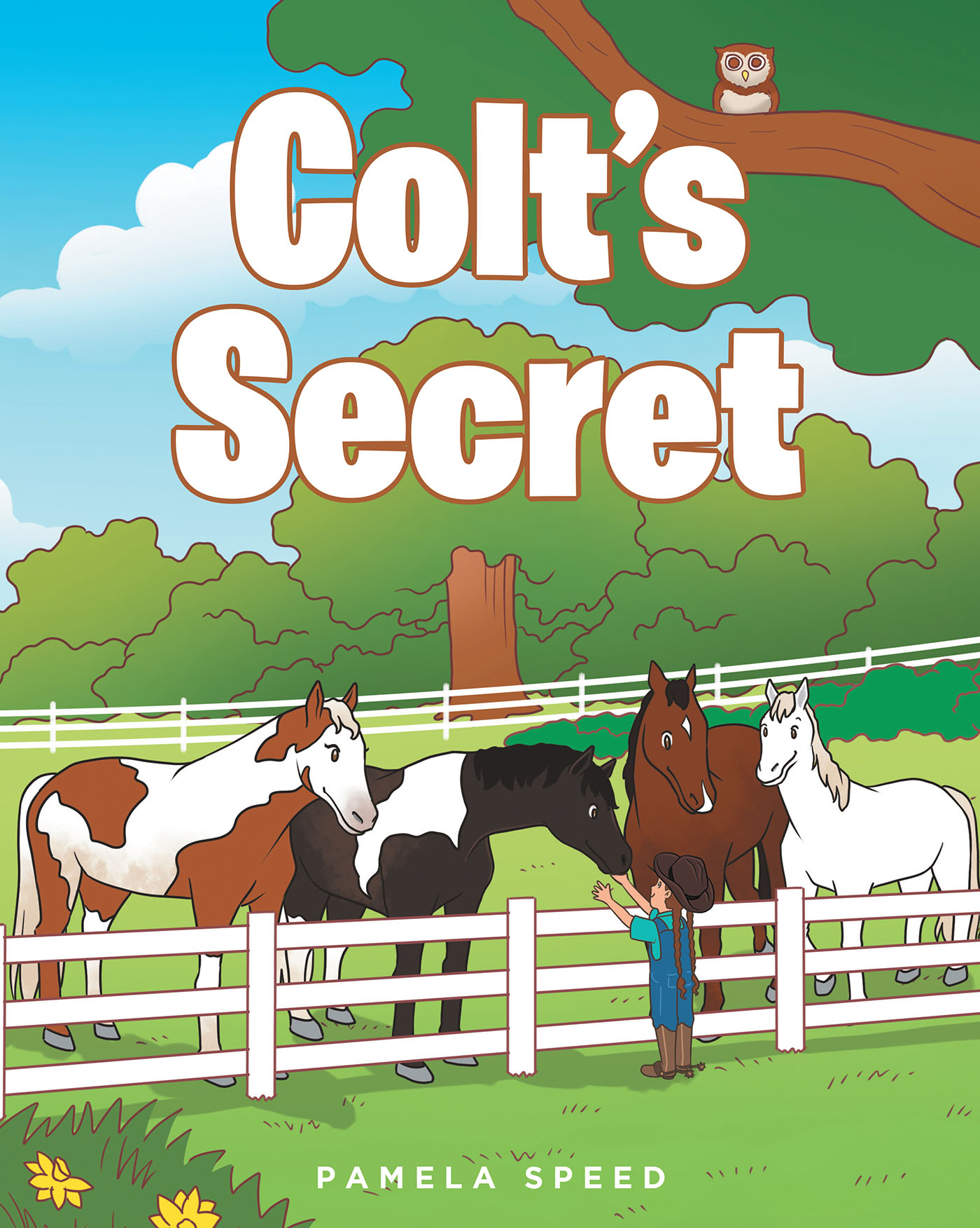 Colt's Secret Cover Image