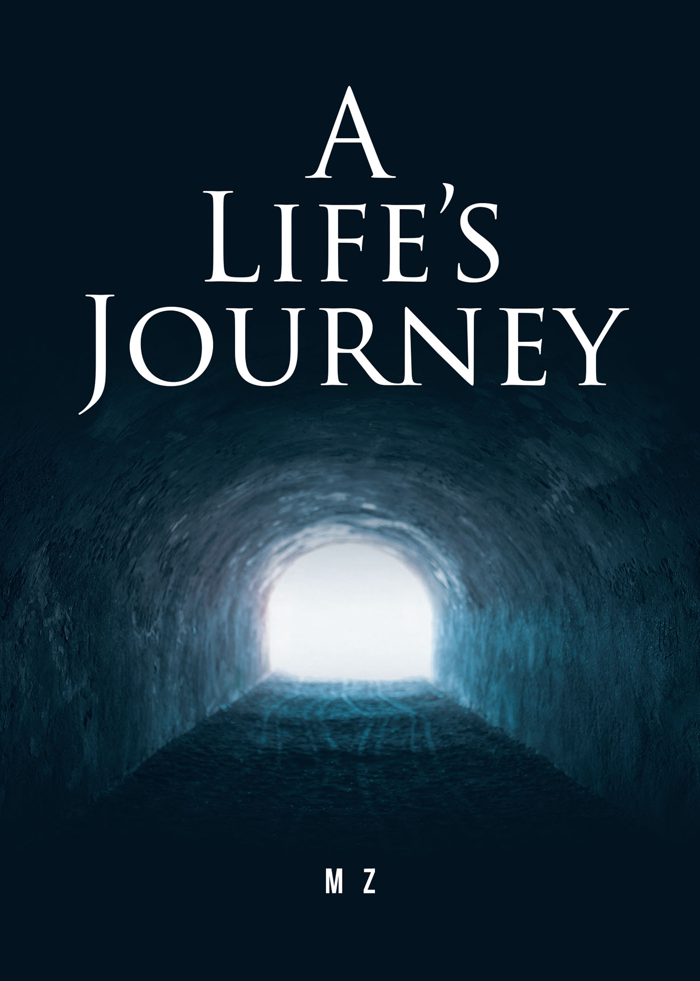 A Life's Journey Cover Image
