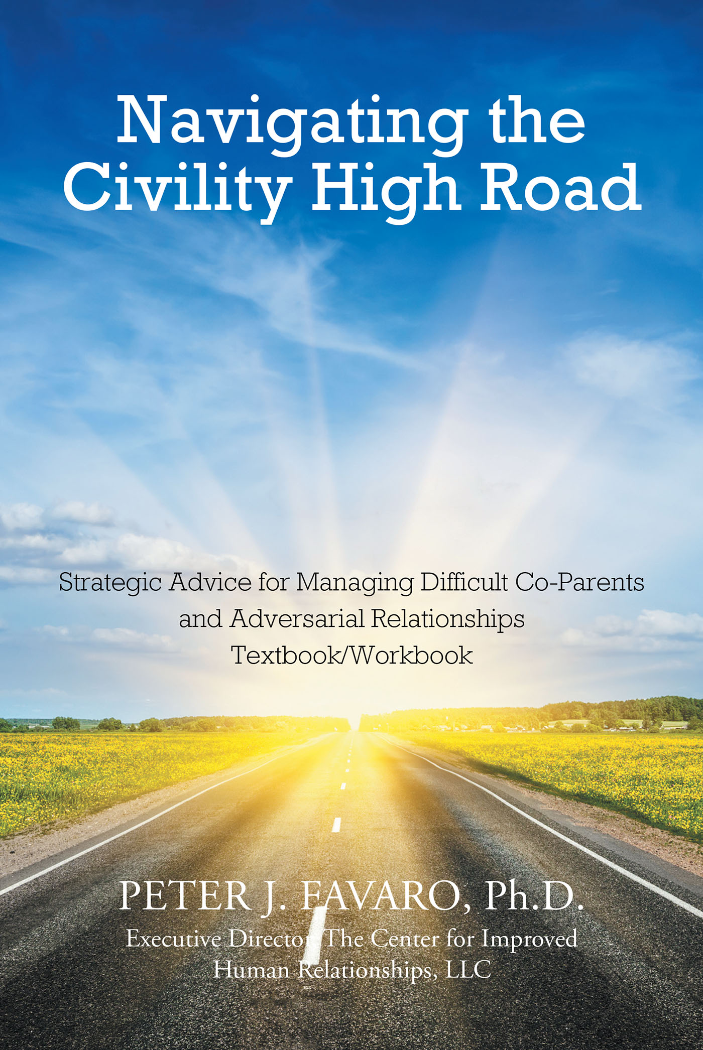 Navigating The Civility High Road Cover Image